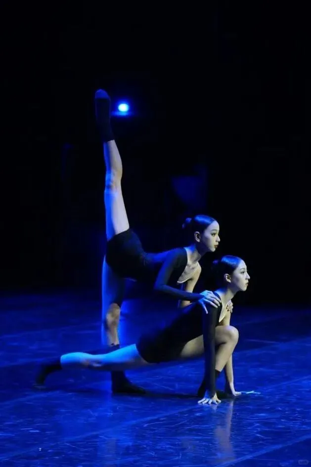 喜报|2025 FDC国际舞蹈大赛（深圳站）6金6银