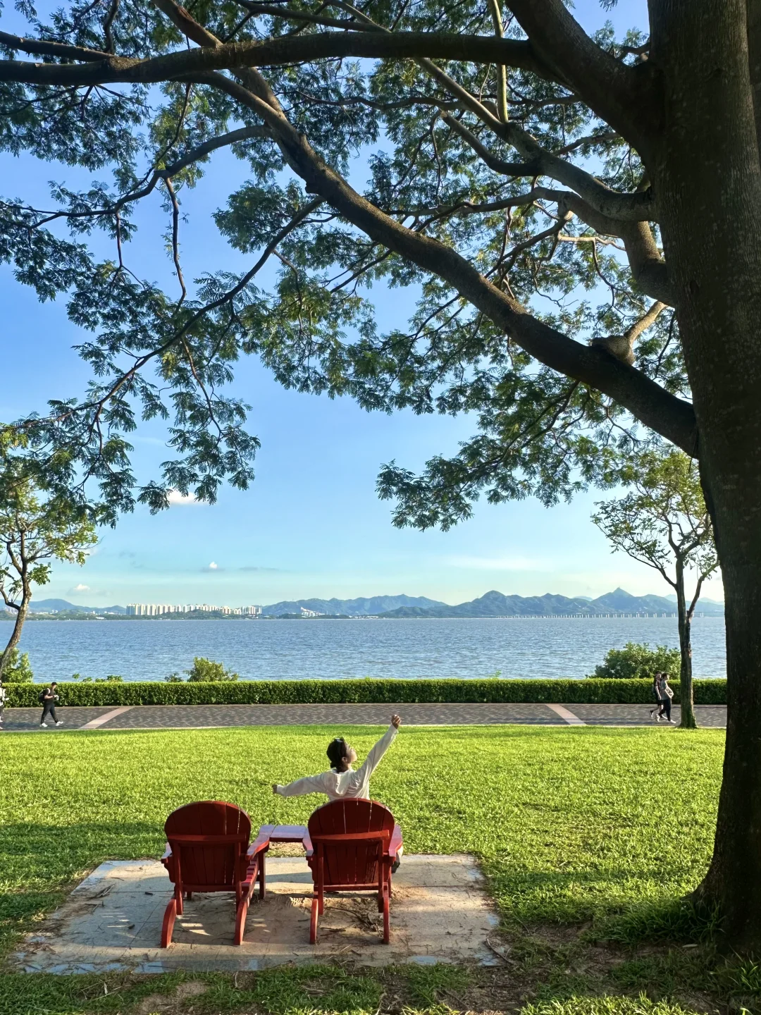 深圳蕞好的都是免费的~🌳