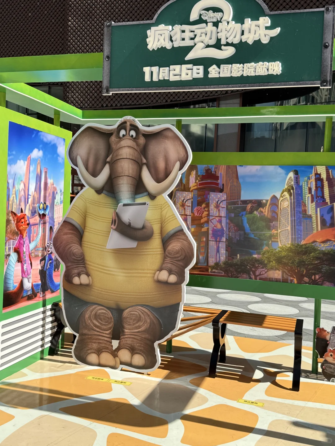 深圳已成为疯狂动物城痛城！