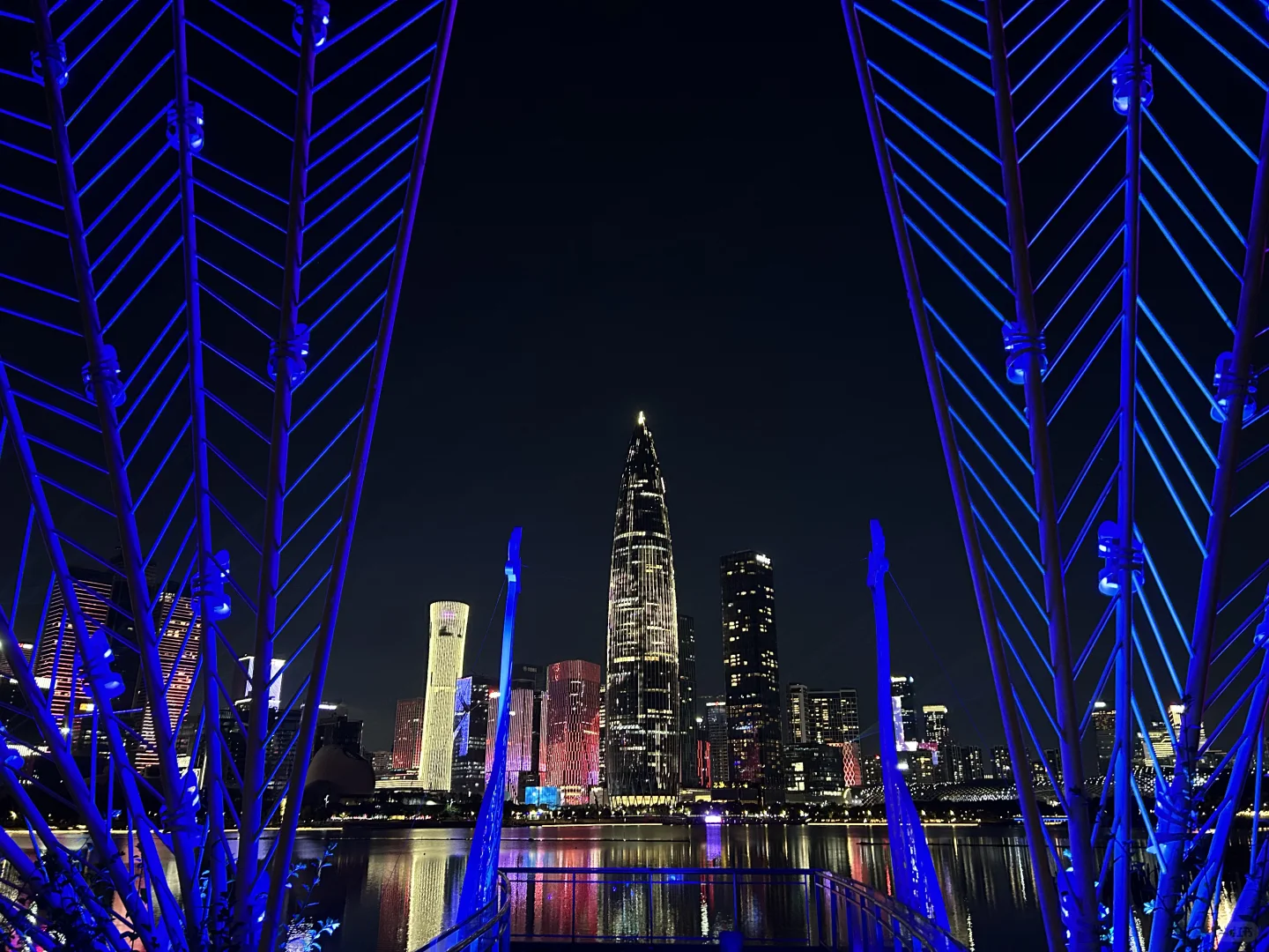 深圳人才公园灯光秀