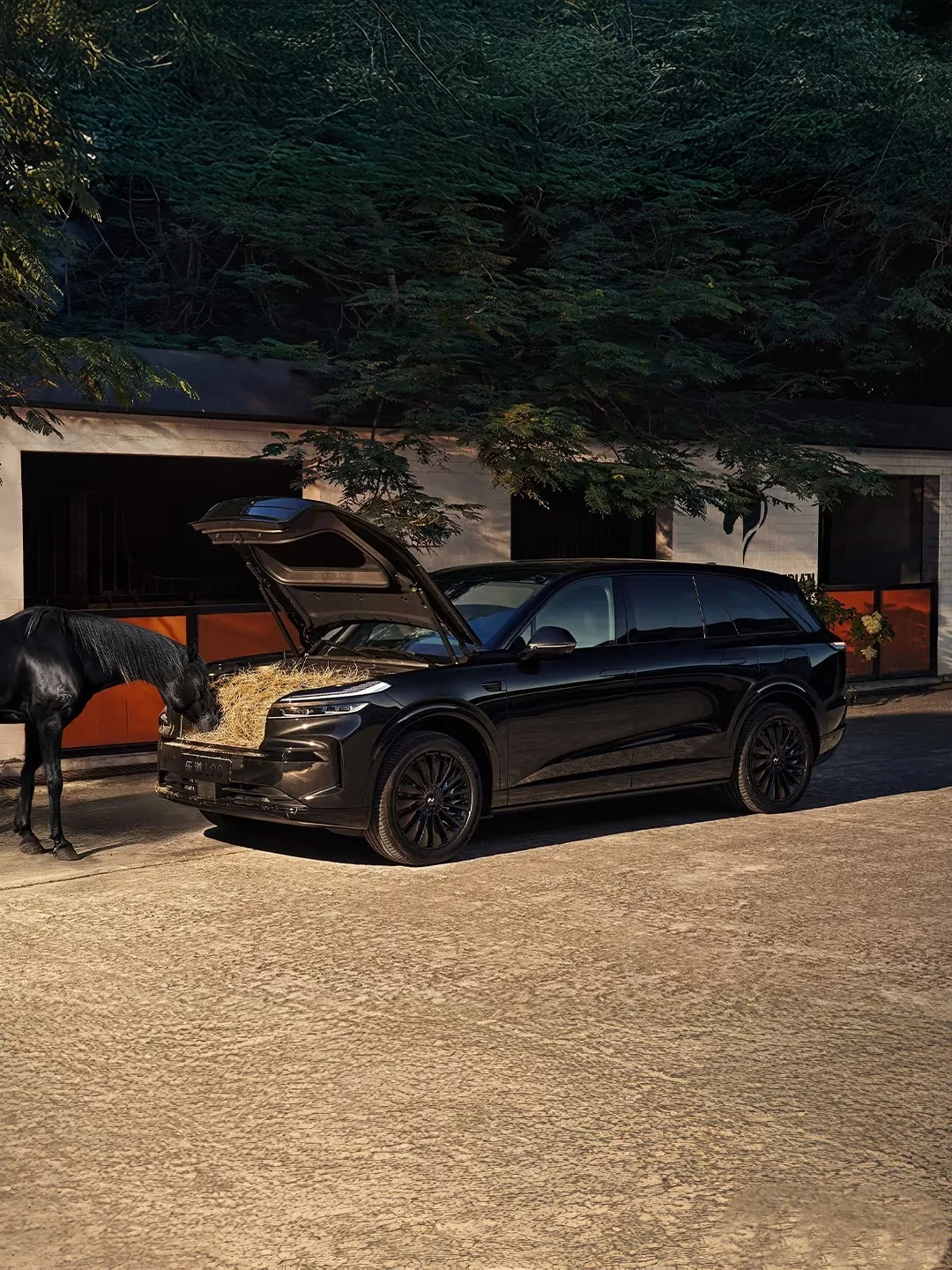 深圳场地|在威廉马场拍的古天乐真帅！