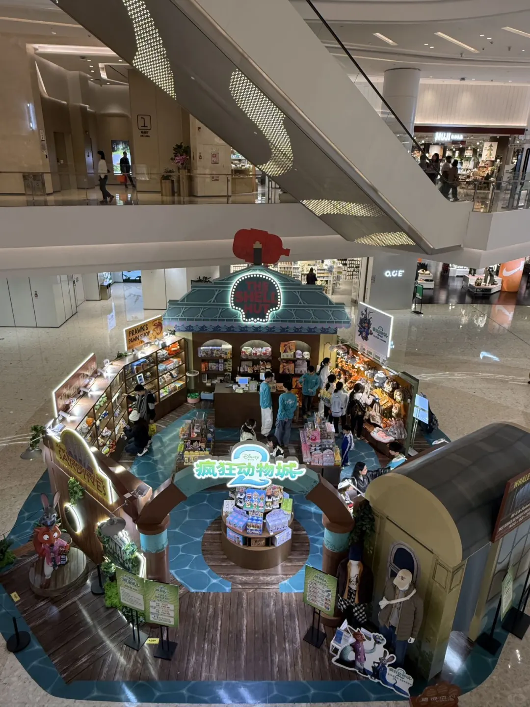 全深圳都在偶遇5 米高的朱迪！