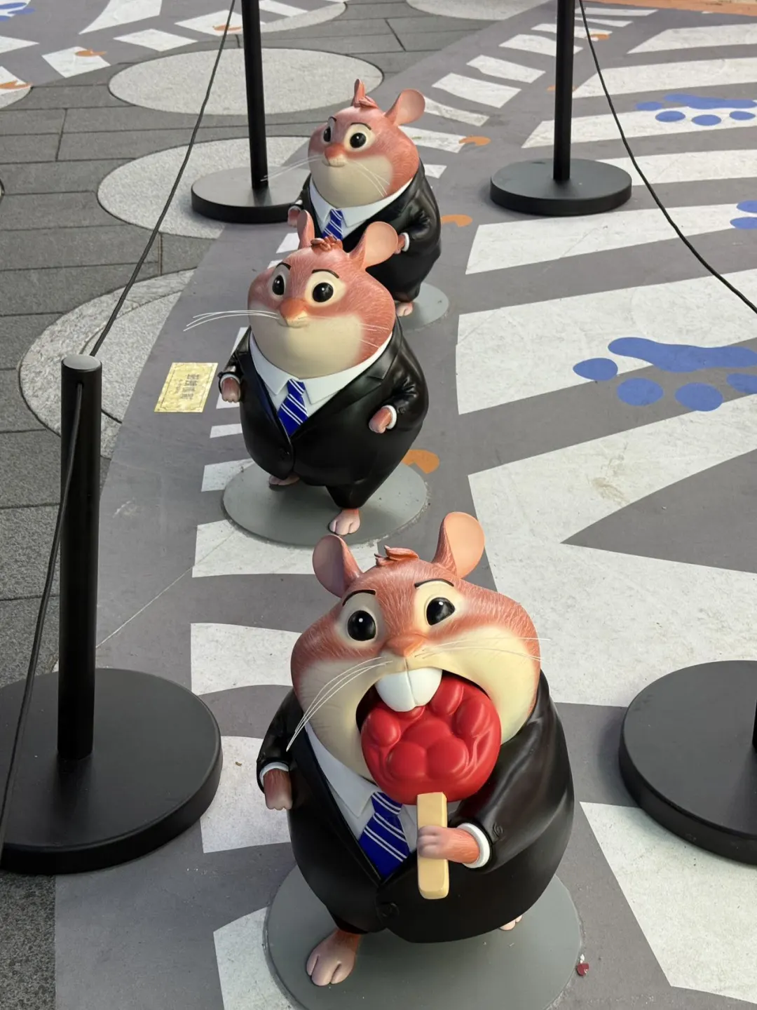 全深圳都在偶遇5 米高的朱迪！