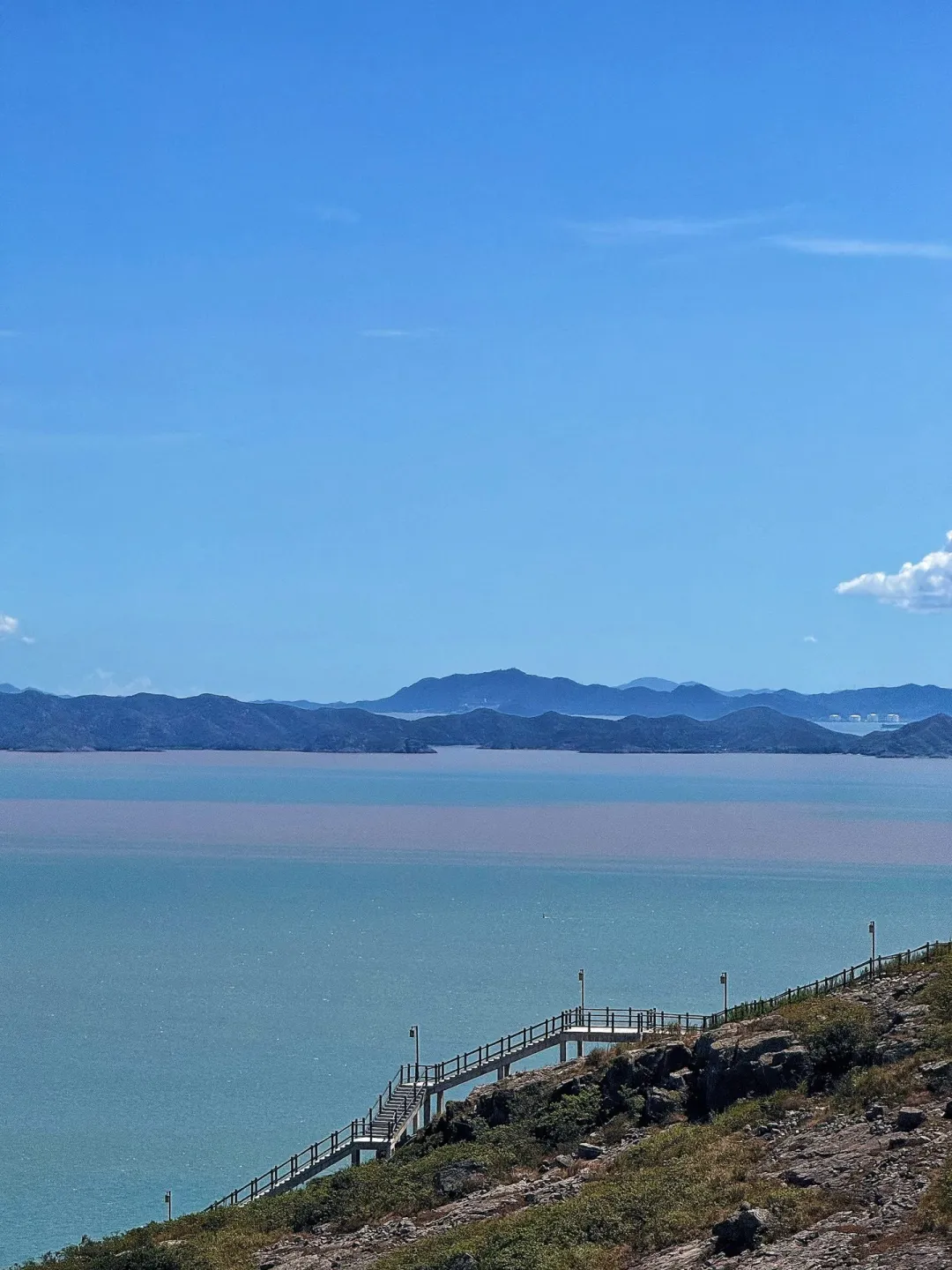 深圳江西老乡单身群，点缀生活的鲜花，脱单