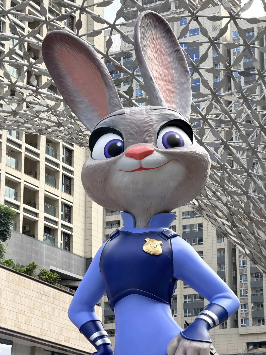 深圳就是一座巨大的疯狂动物城！