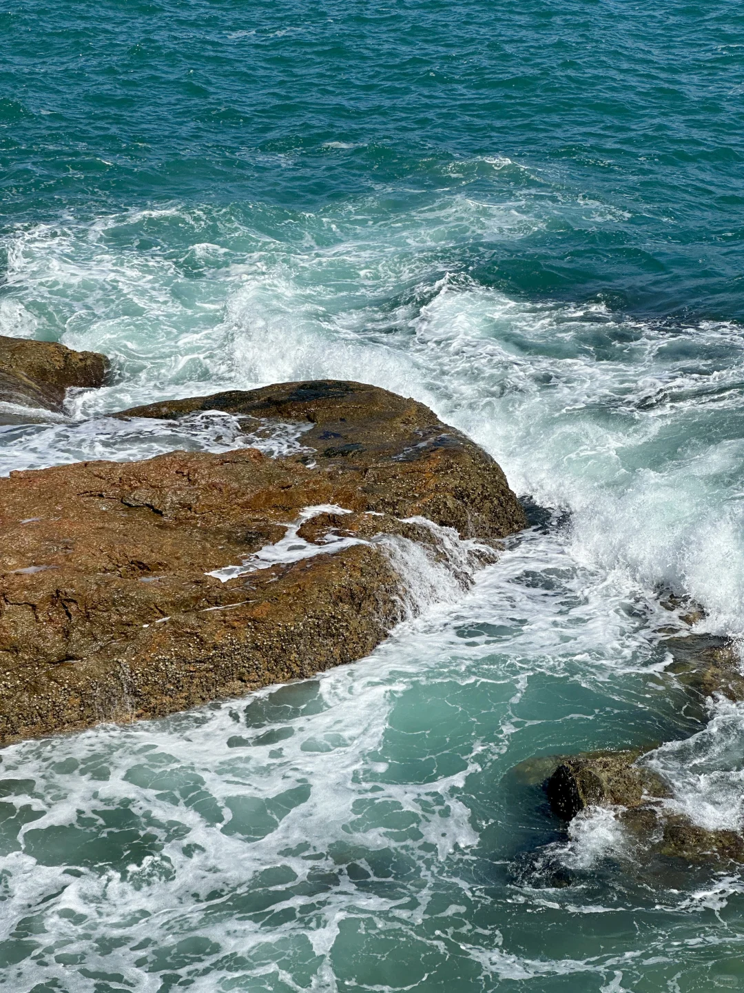 在深圳🚇直达，超适合city walk的海边栈道