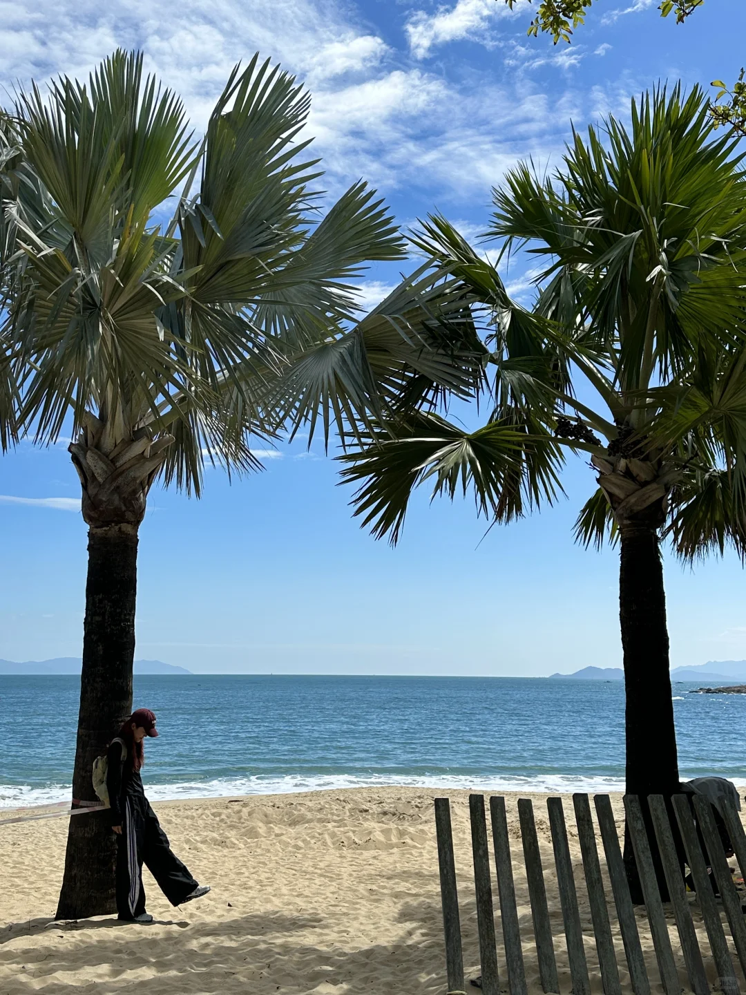 在深圳🚇直达，超适合city walk的海边栈道