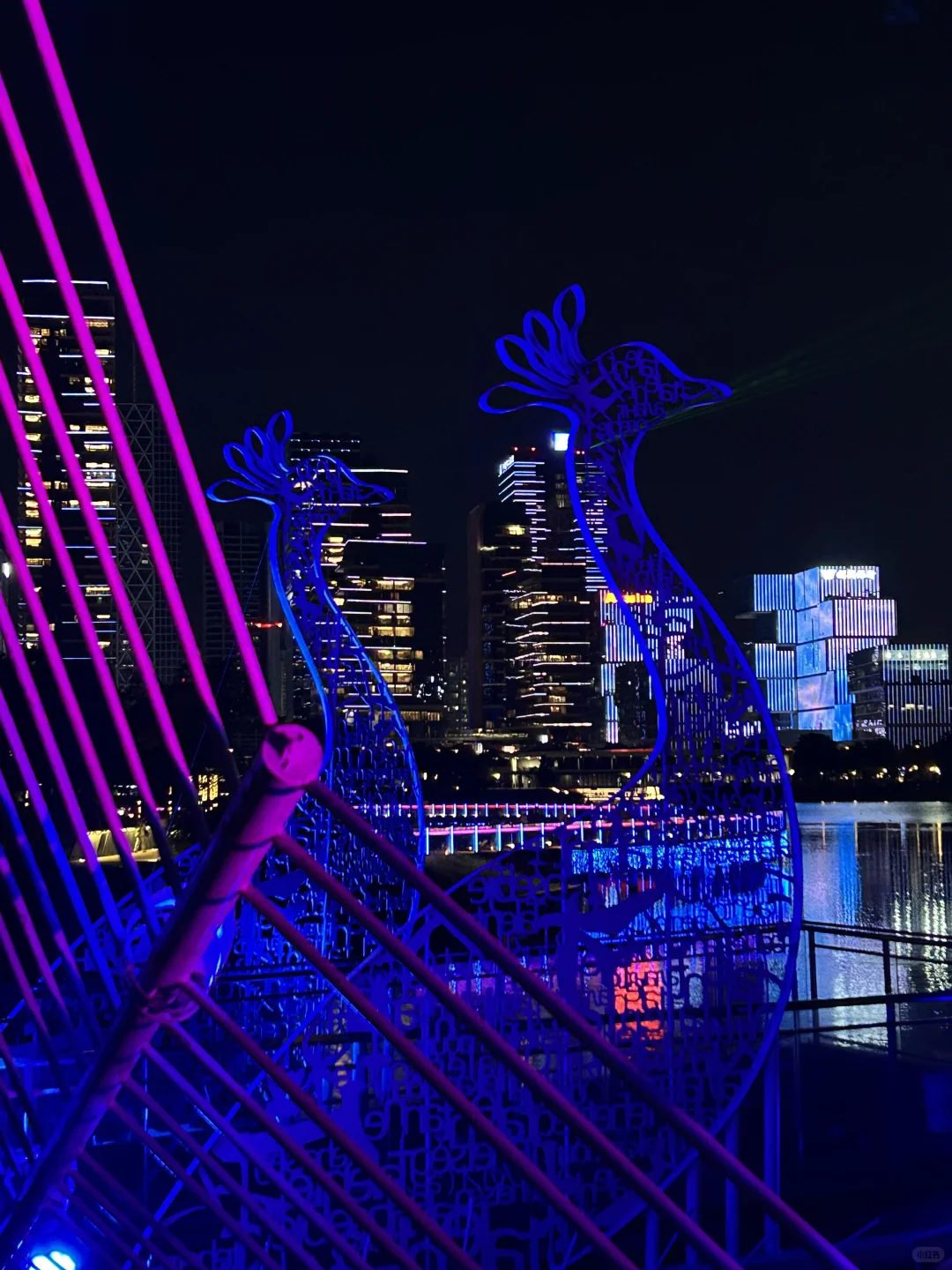 深圳人才公园灯光秀