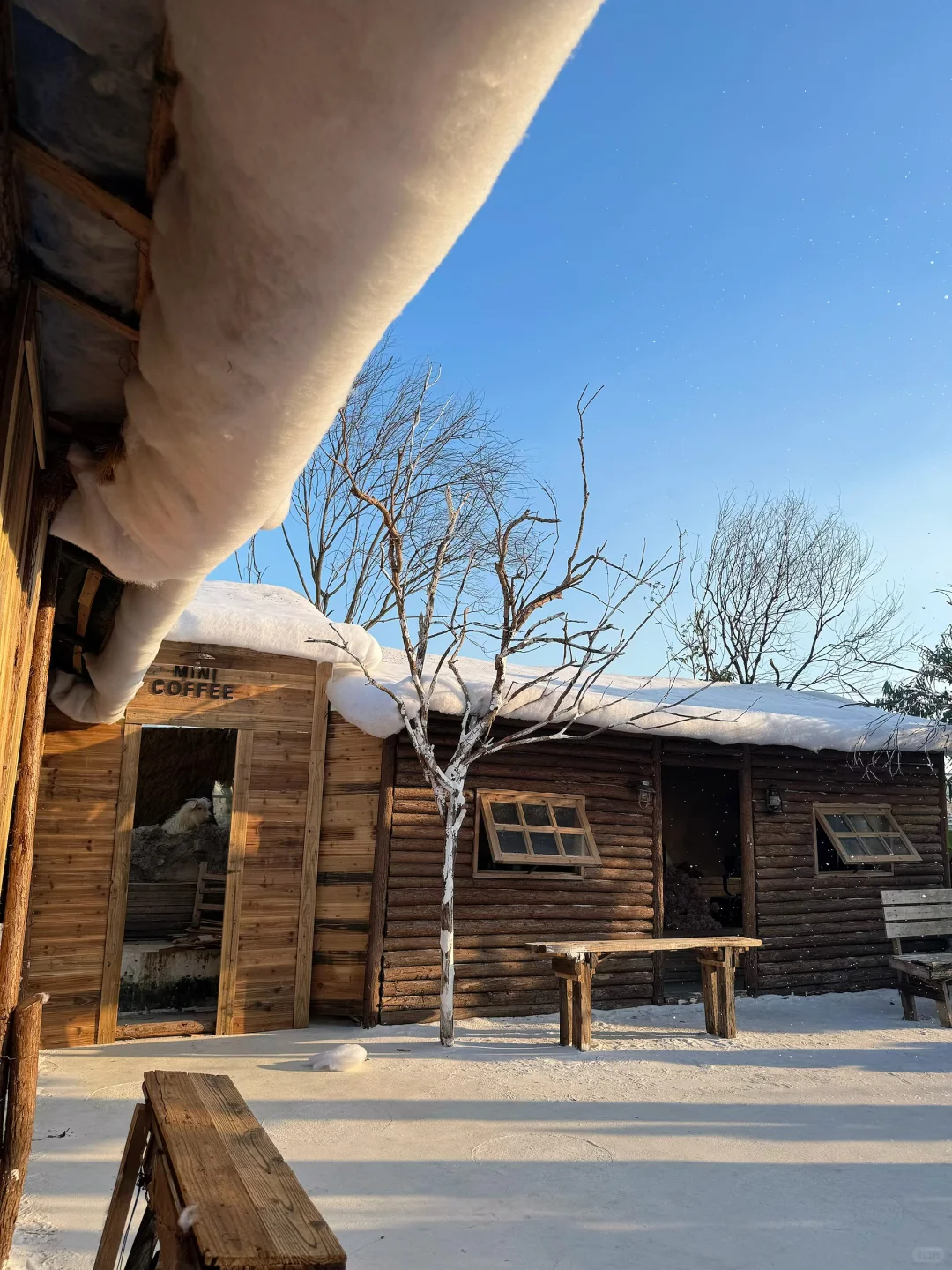 真不是Ai，就在深圳龙华，原相机直出雪景❄️ #