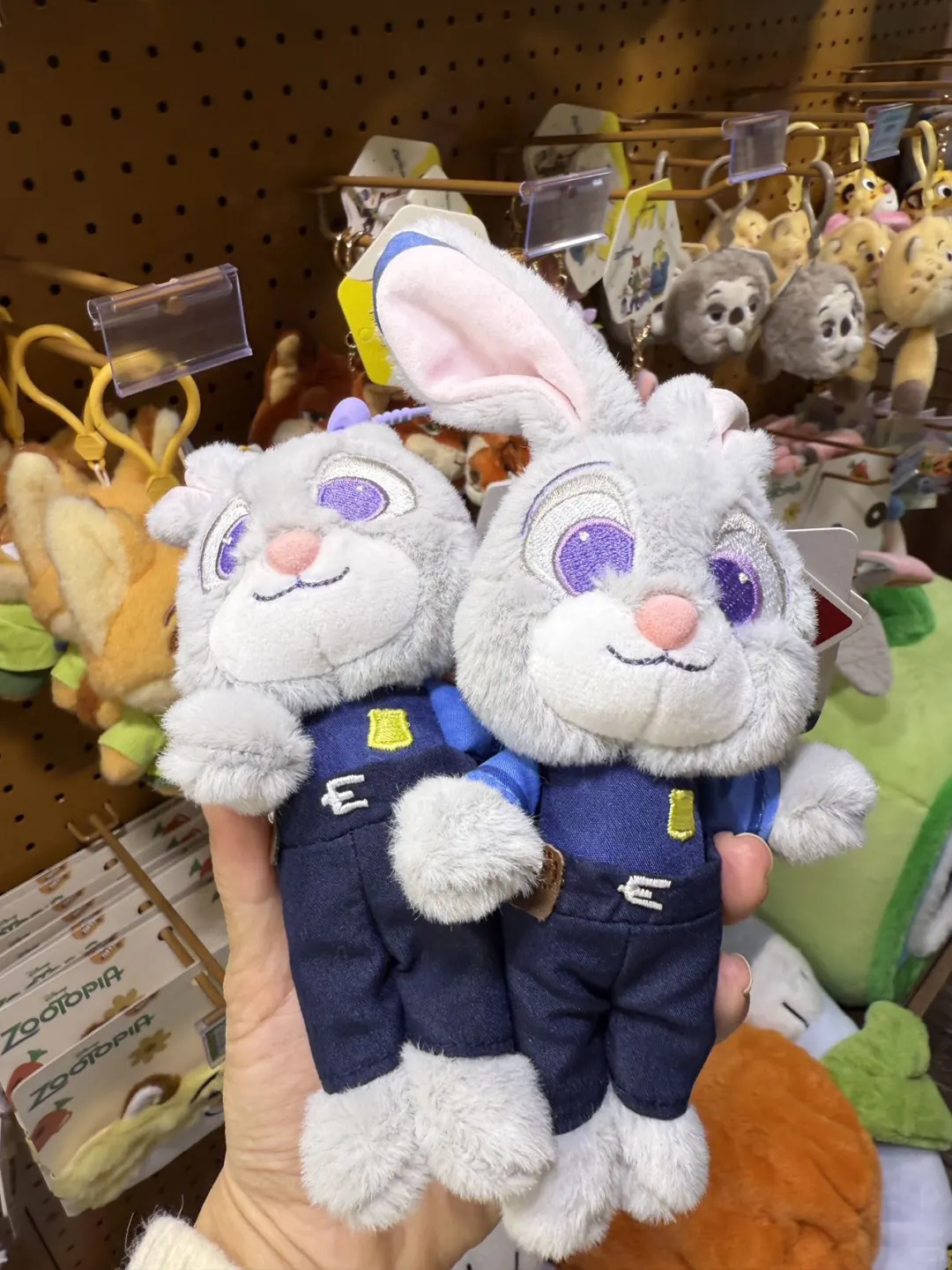 全深圳都在偶遇5 米高的朱迪！