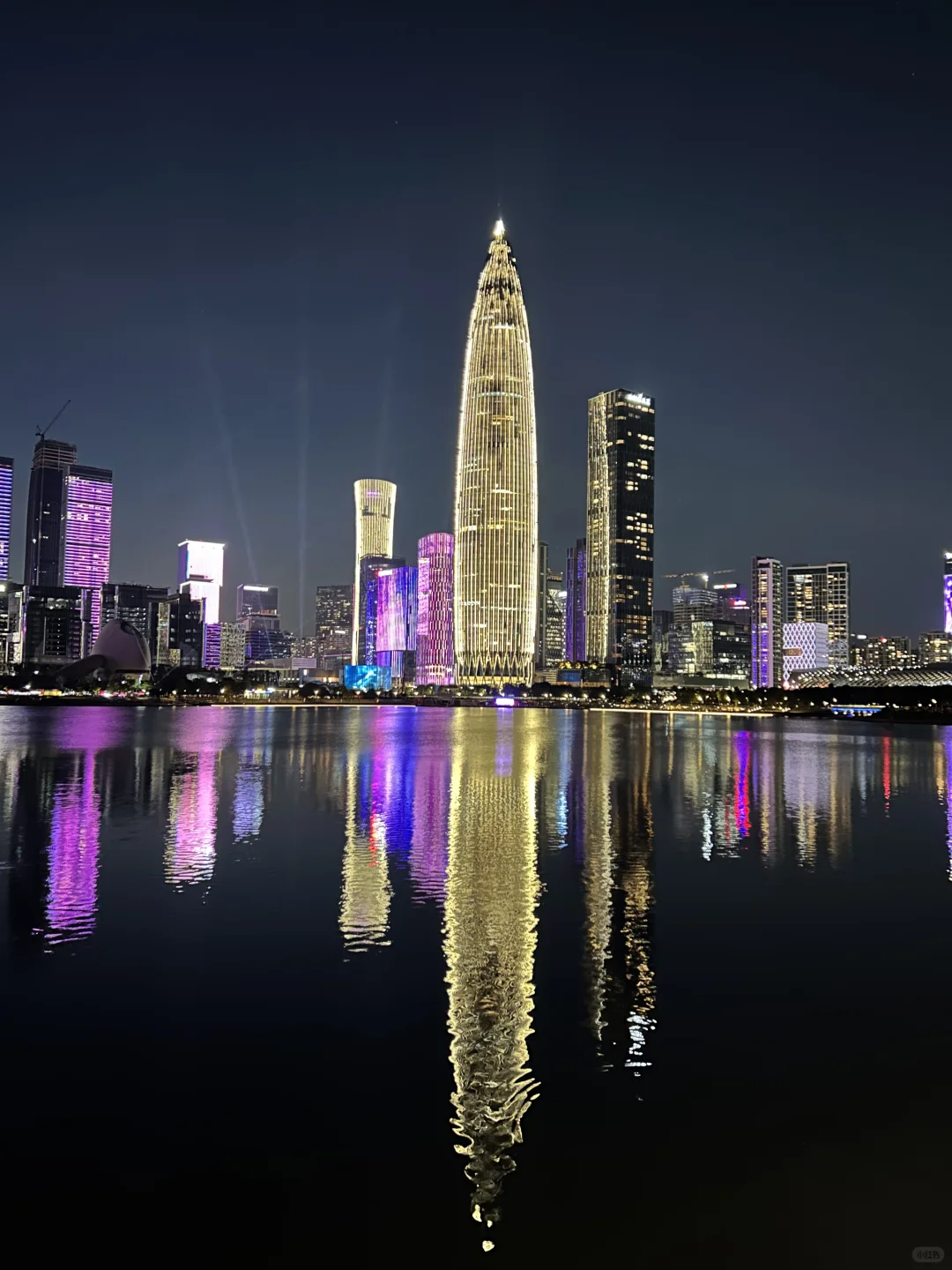 深圳人才公园灯光秀