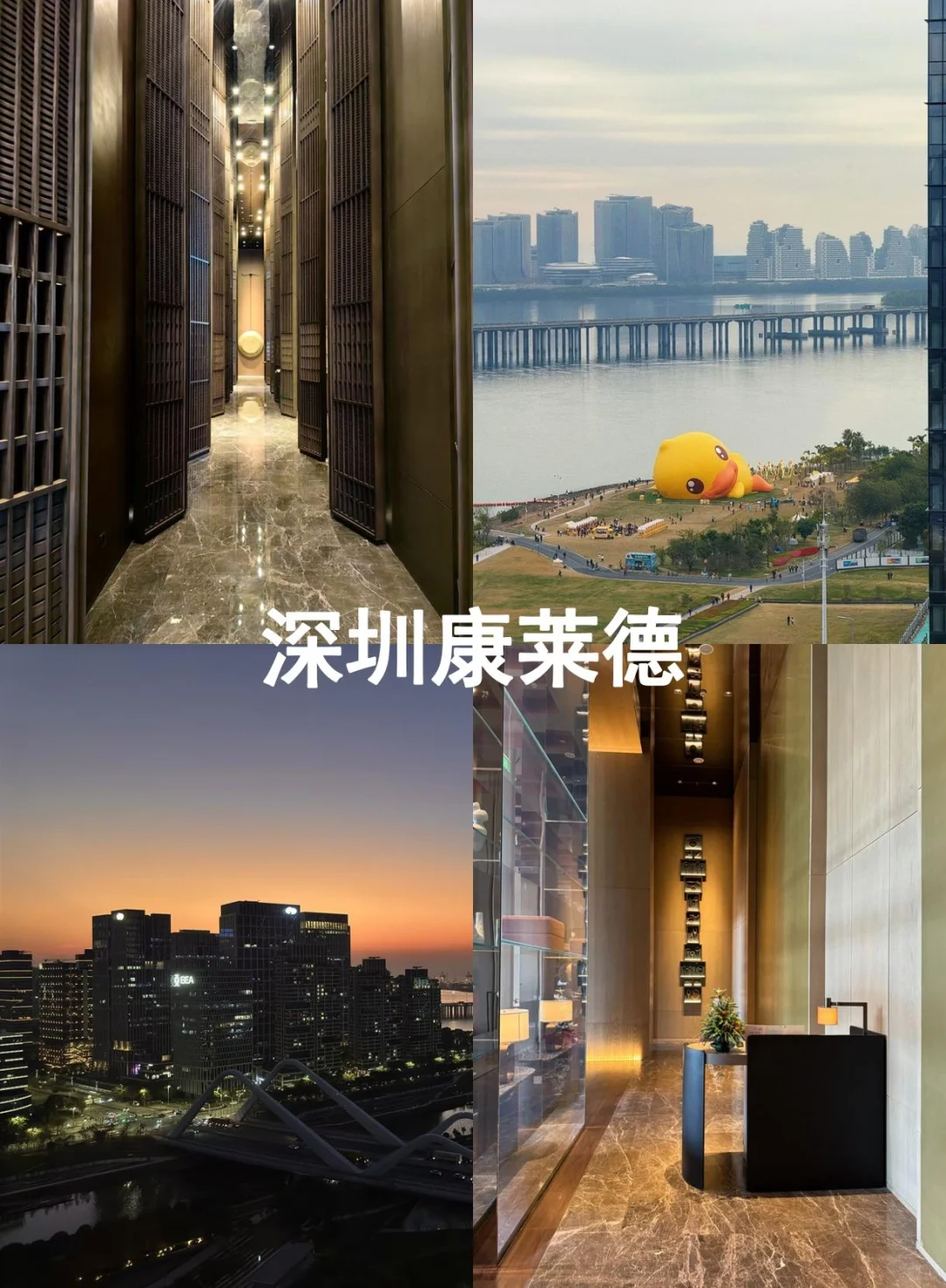 有人去深圳吗？半价转深圳康莱德酒店