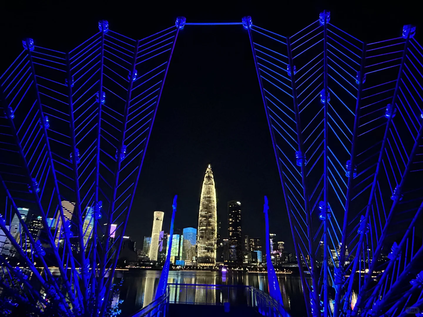 深圳人才公园灯光秀