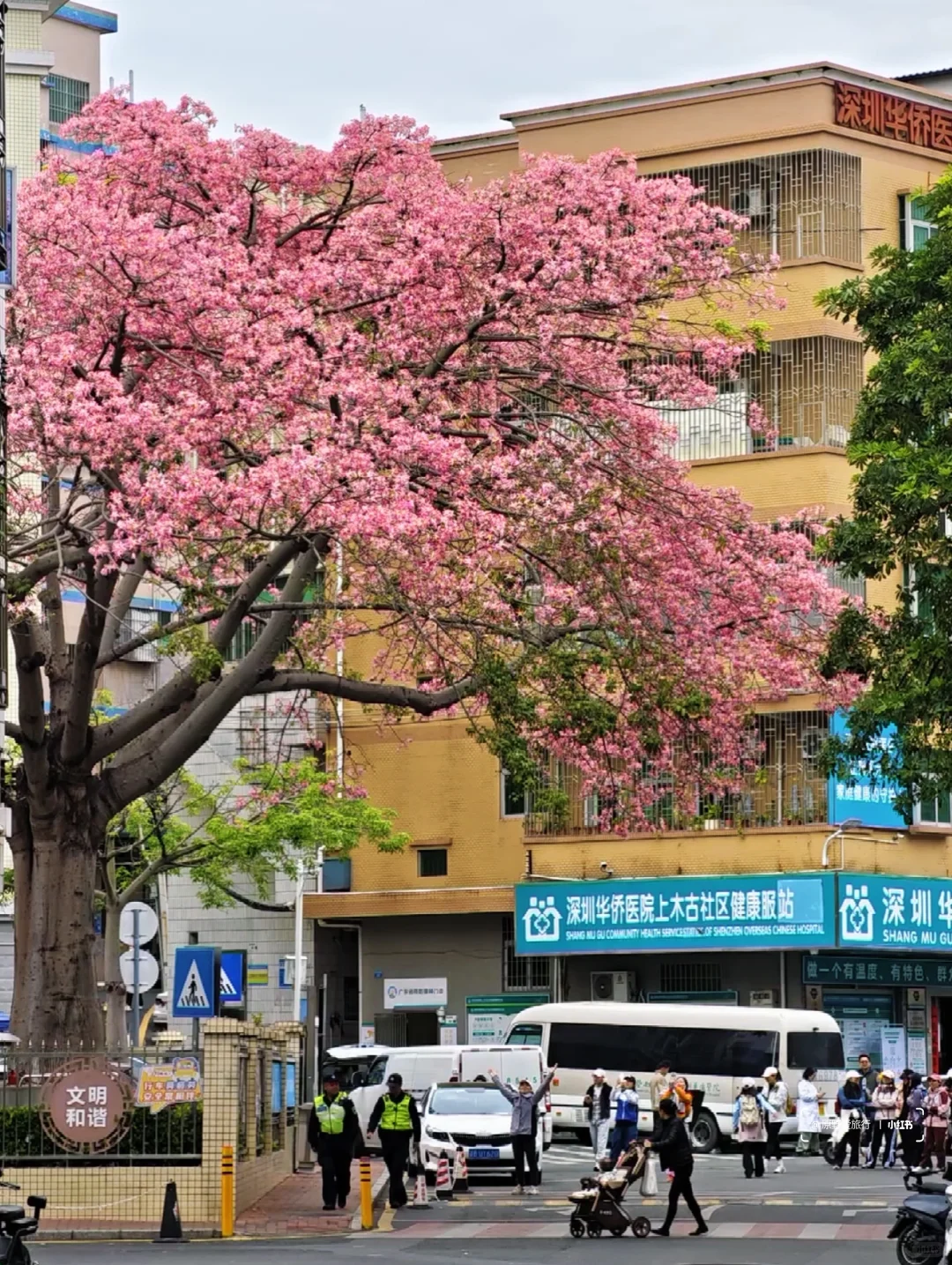 这几天的深圳是这样的❗