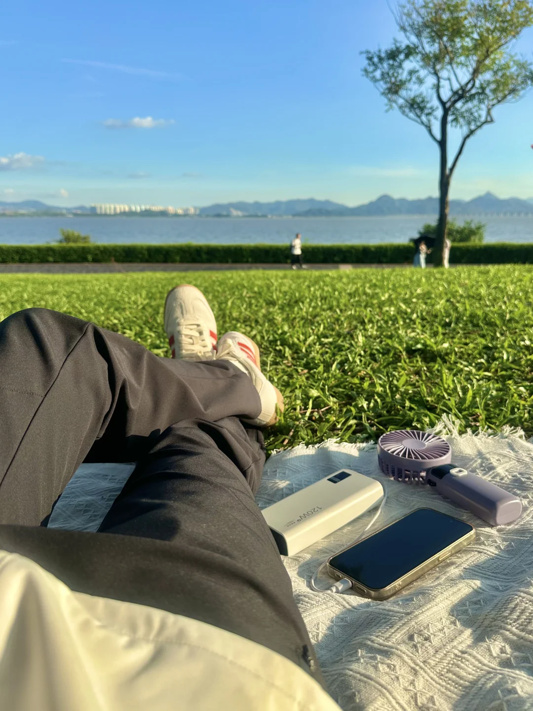 深圳蕞好的都是免费的~🌳