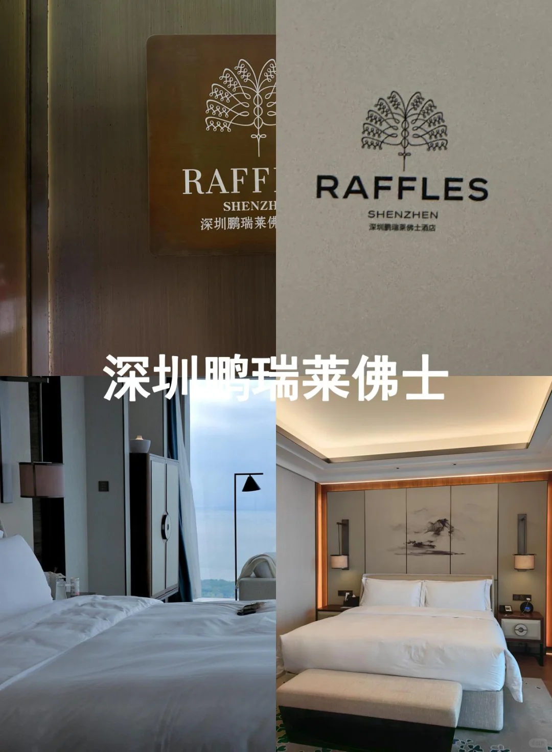 有人去深圳吗？半价转深圳鹏瑞莱佛士