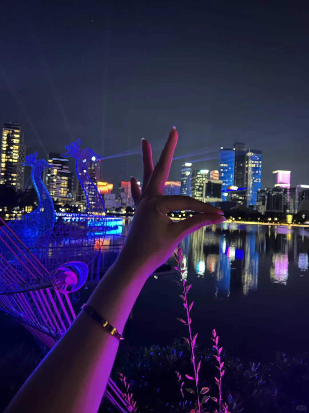 深圳人才公园灯光秀