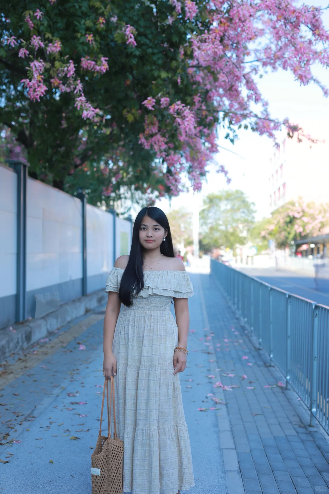 深圳0人挤！异木棉小众拍照地📸