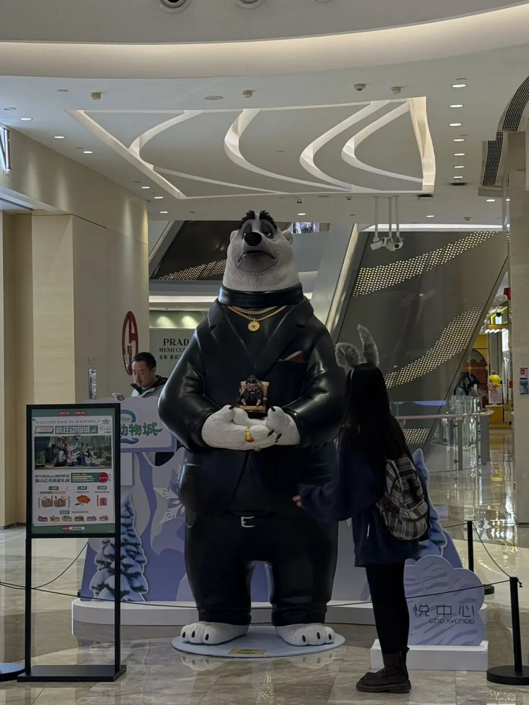 全深圳都在偶遇5 米高的朱迪！