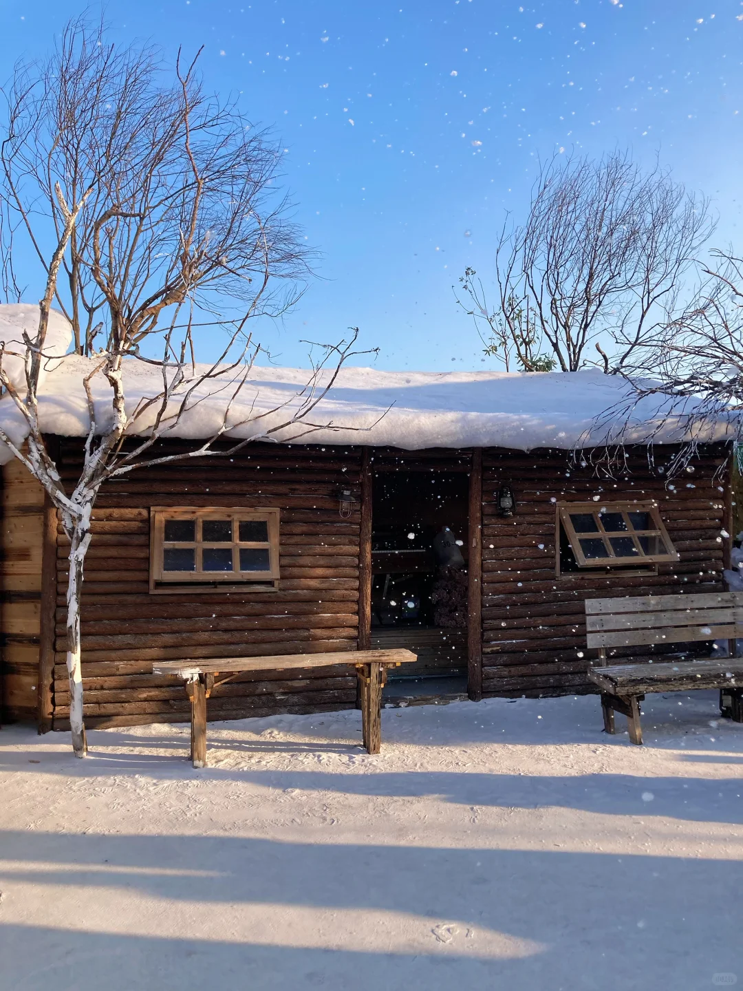 真不是Ai，就在深圳龙华，原相机直出雪景❄️ #