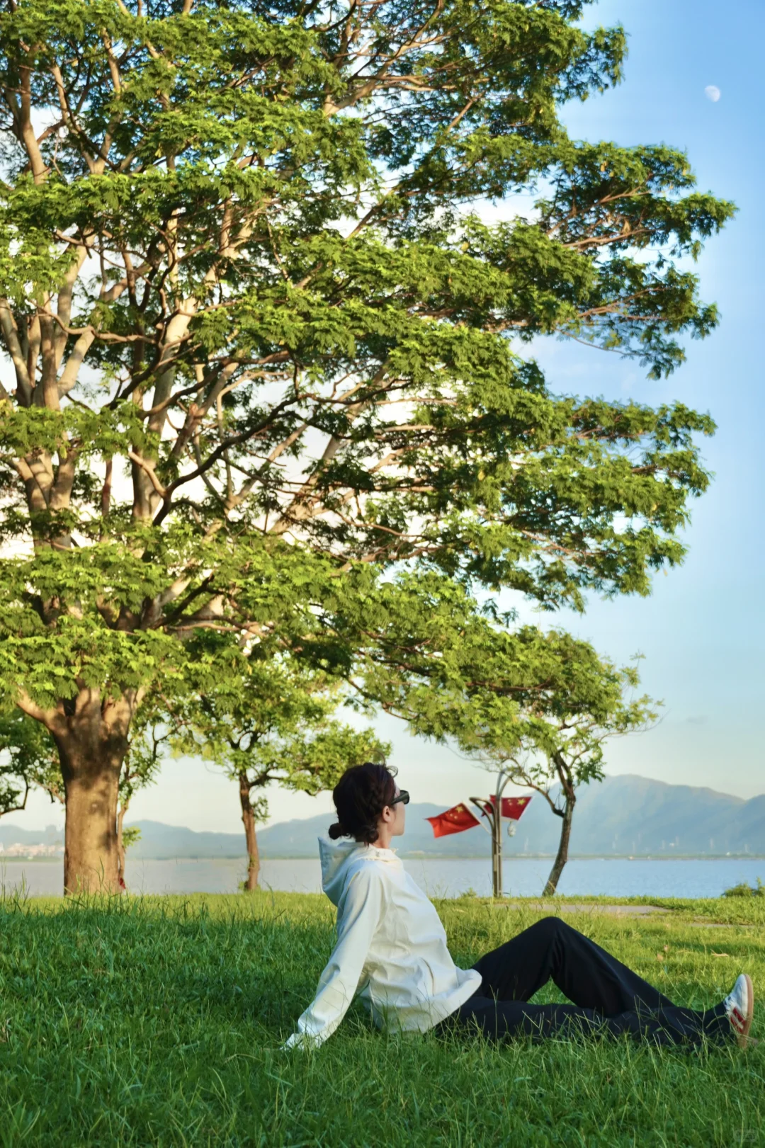 深圳蕞好的都是免费的~🌳