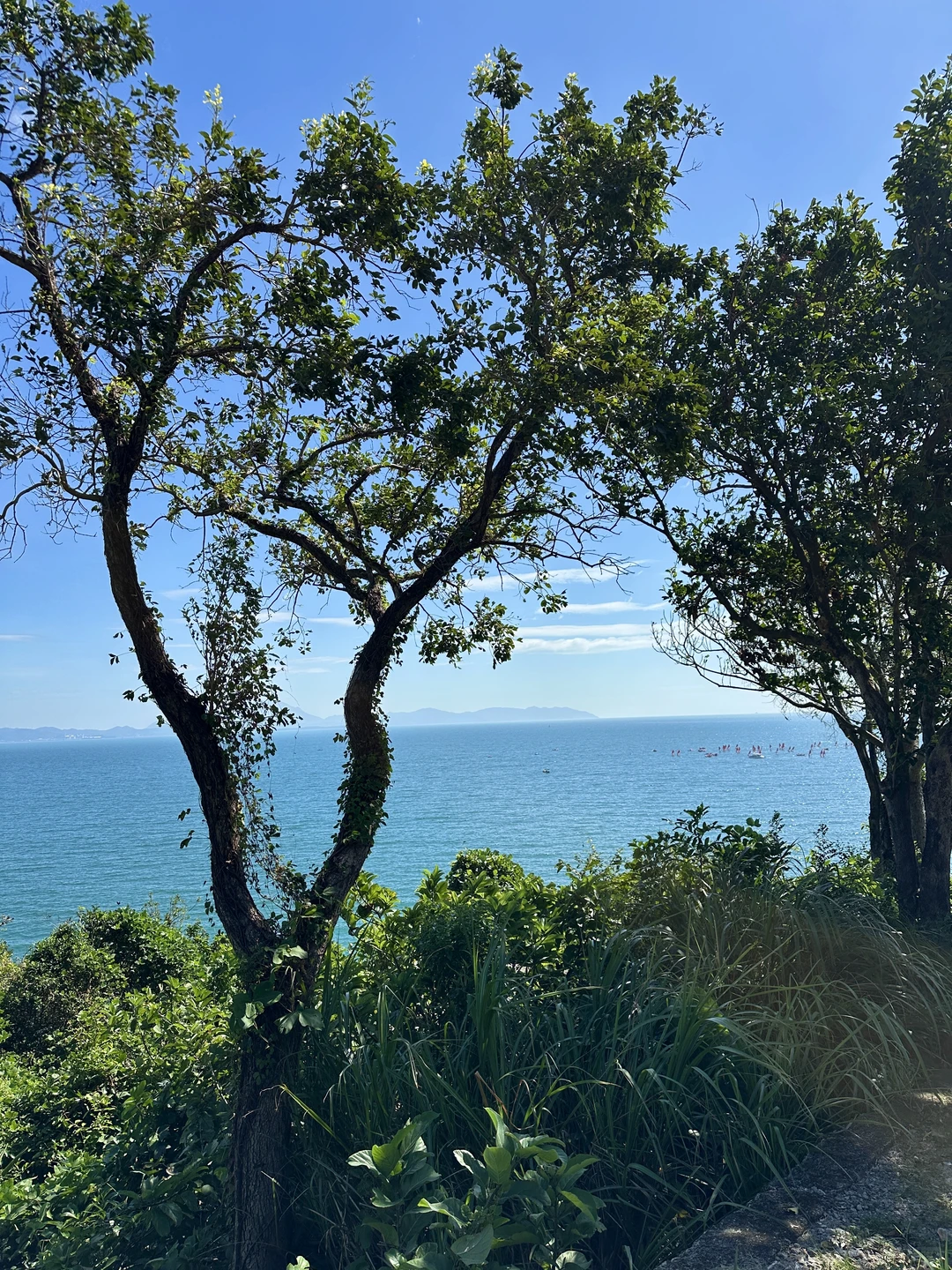在深圳🚇直达，超适合city walk的海边栈道