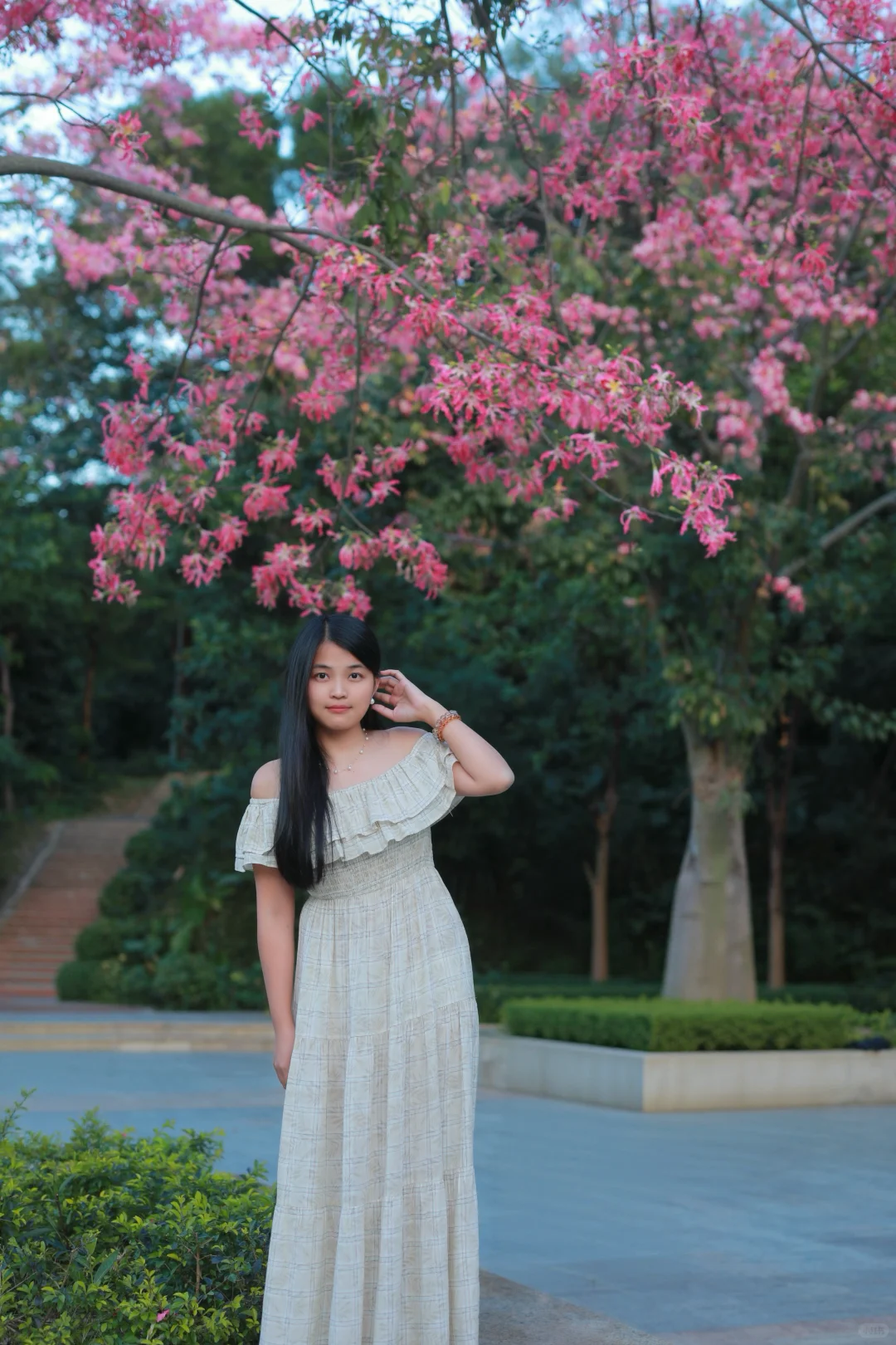 深圳0人挤！异木棉小众拍照地📸