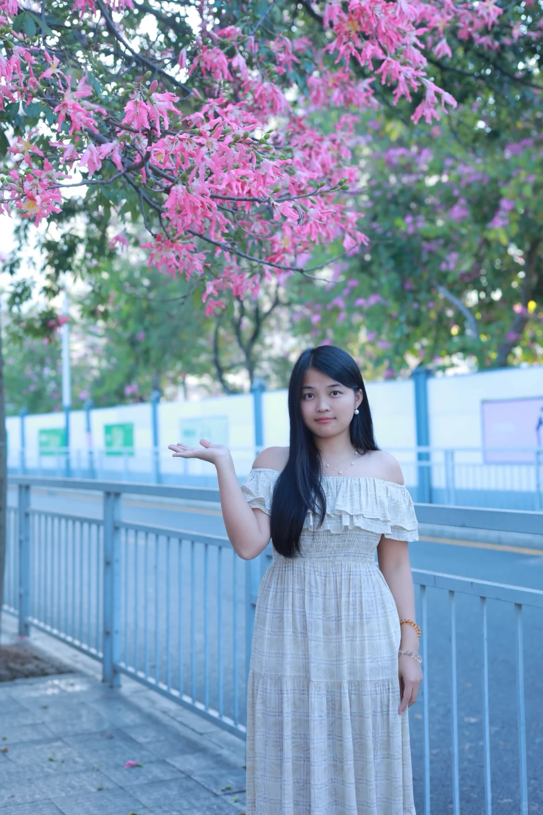 深圳0人挤！异木棉小众拍照地📸