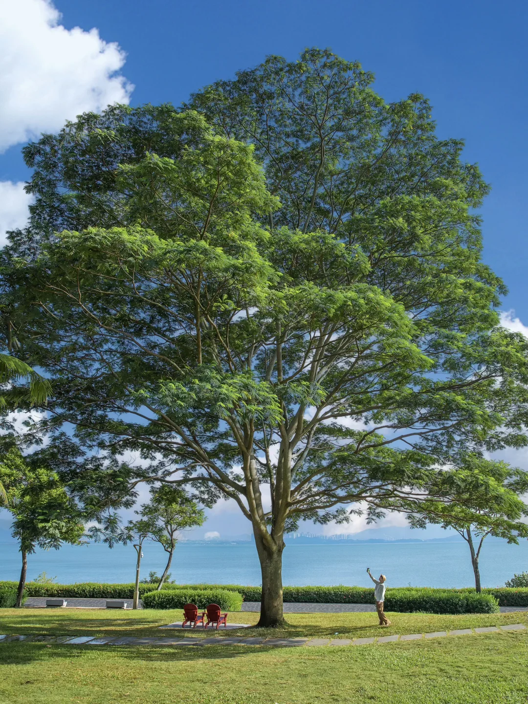深圳国庆❗️可以复制这条一日游路线～