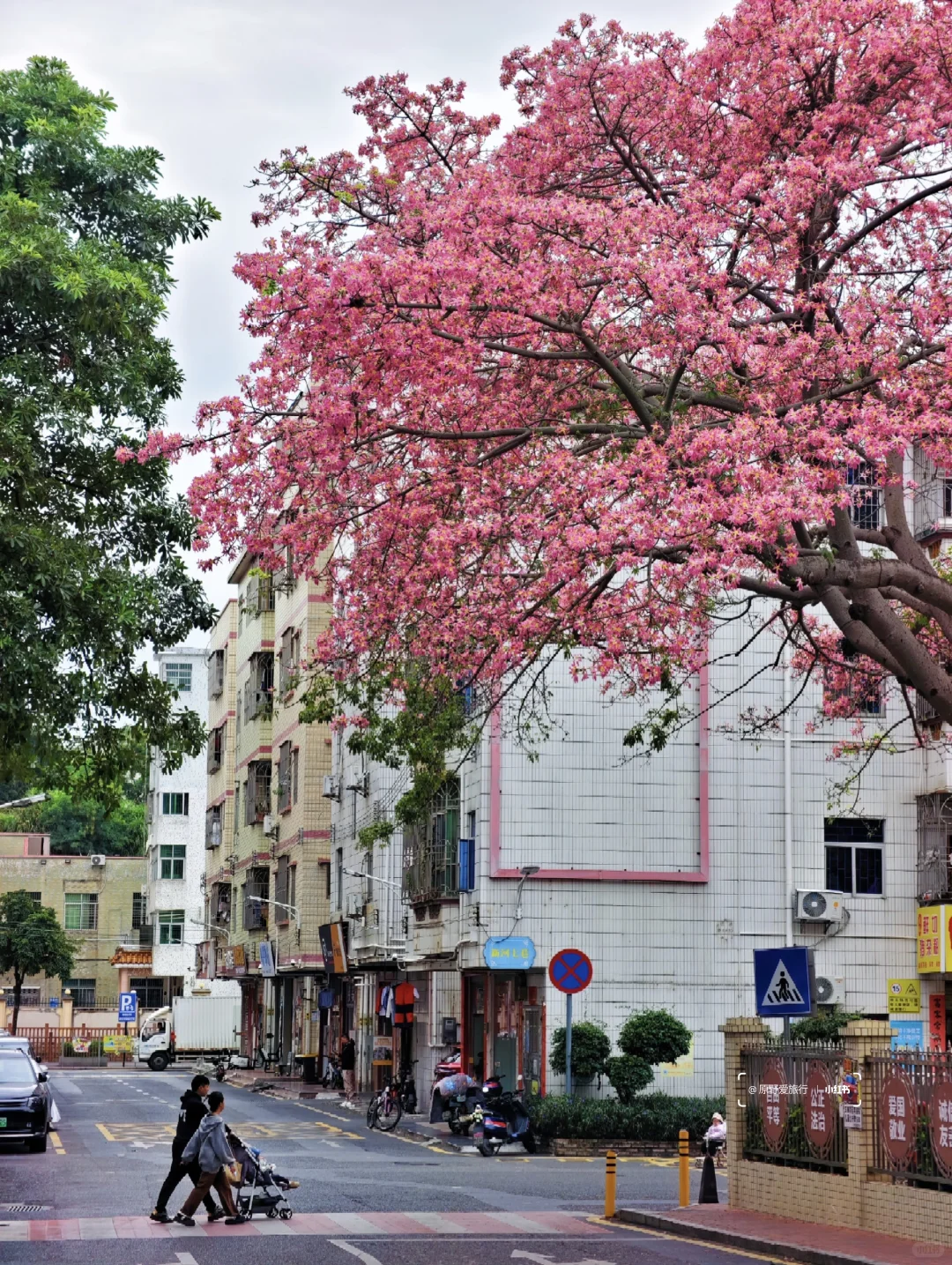 这几天的深圳是这样的❗