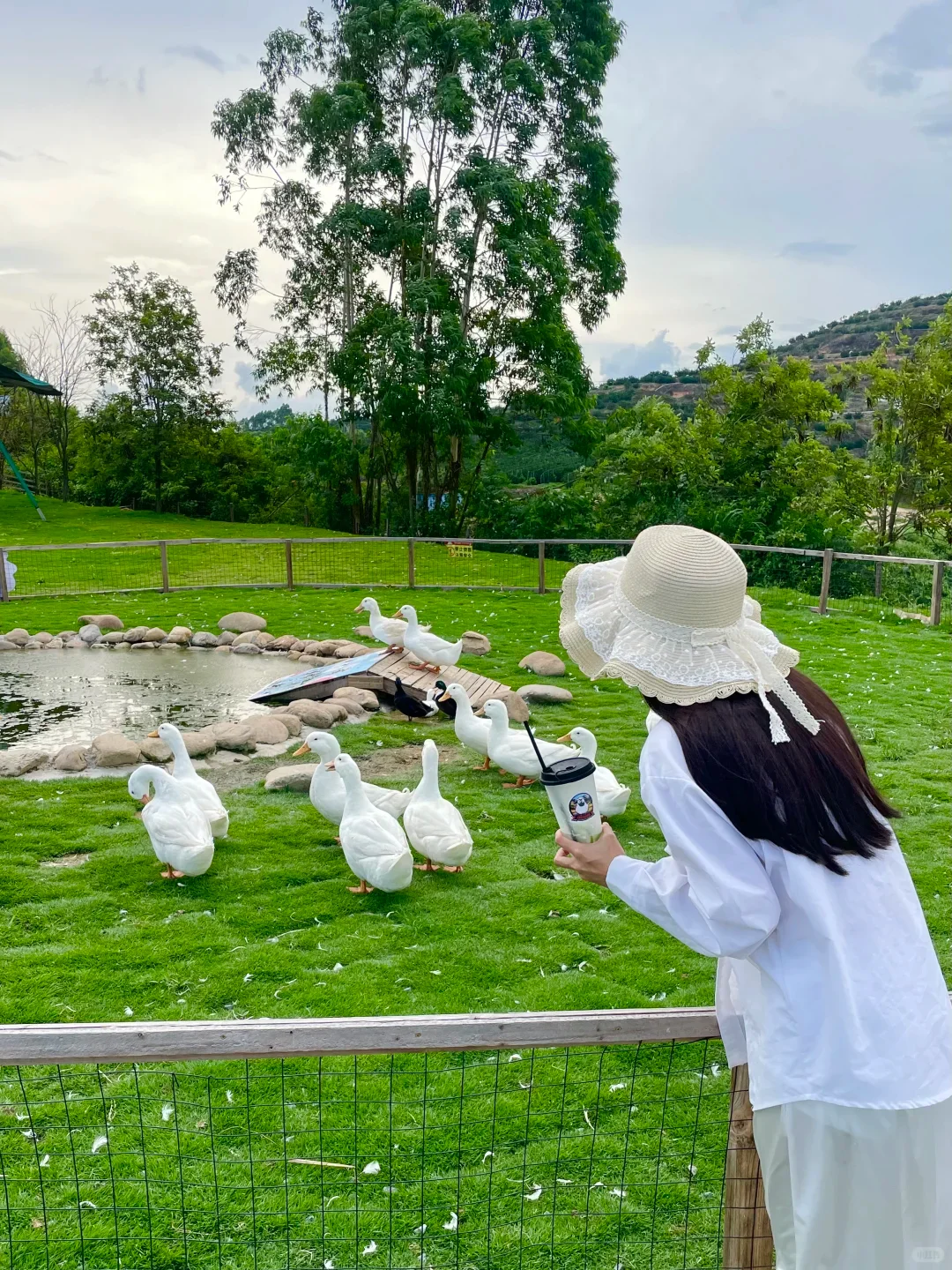 深圳一日游露营农庄🏕人均150➕吃喝玩乐全包