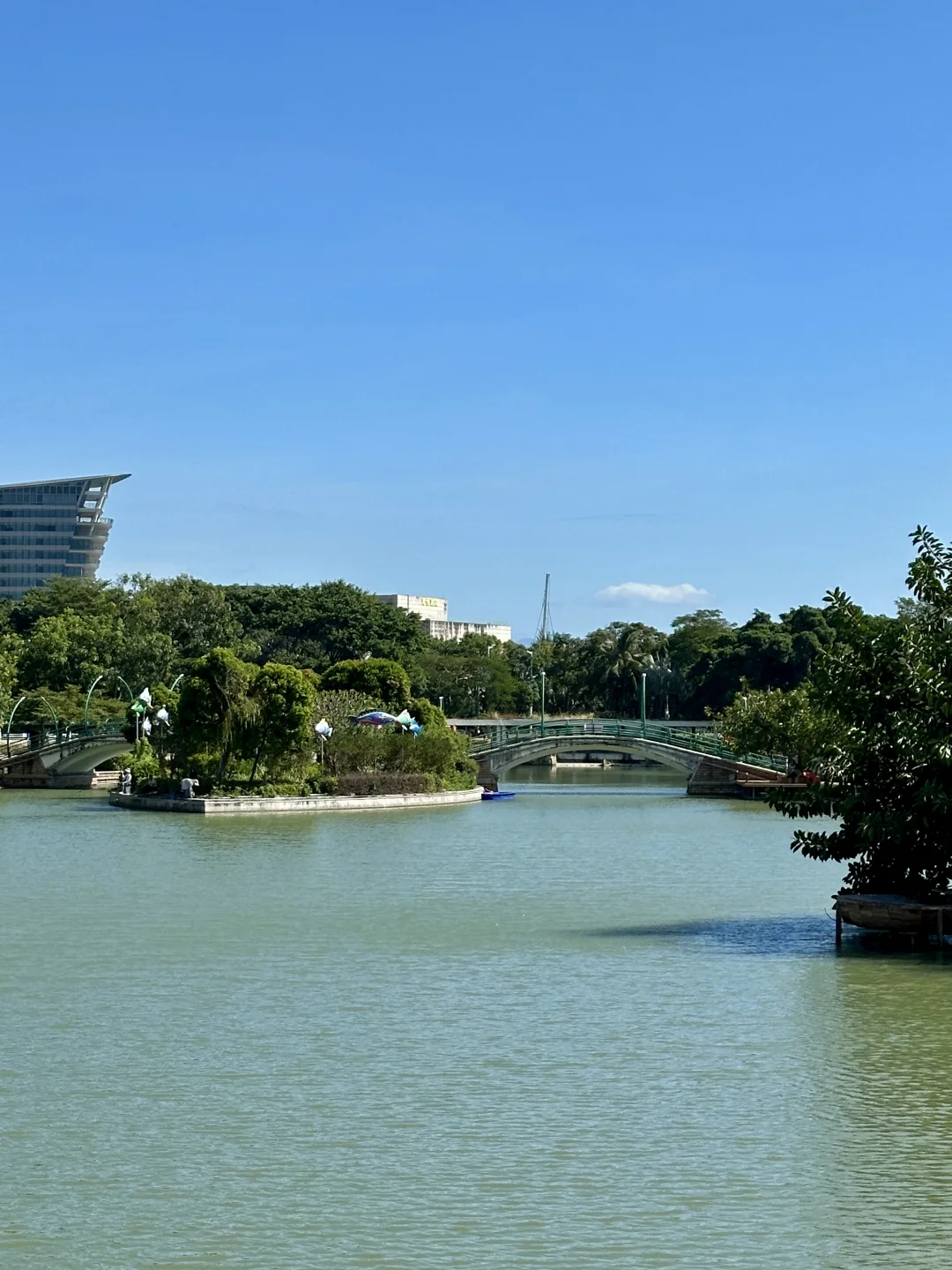 在深圳🚇直达，超适合city walk的海边栈道