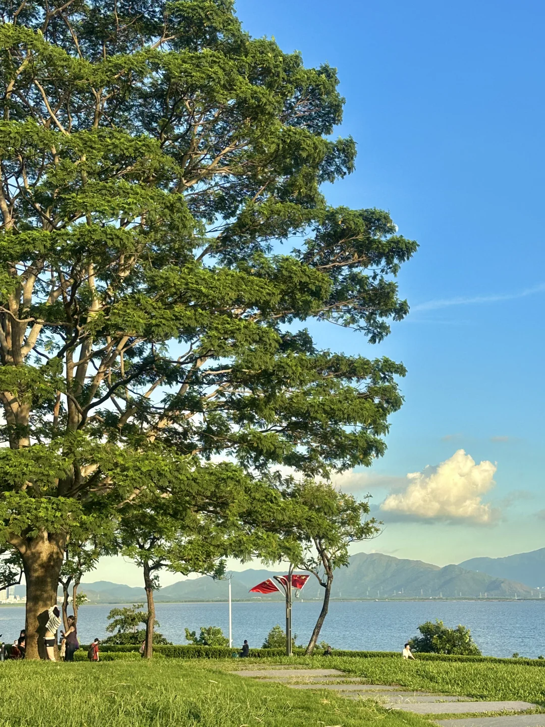 深圳蕞好的都是免费的~🌳