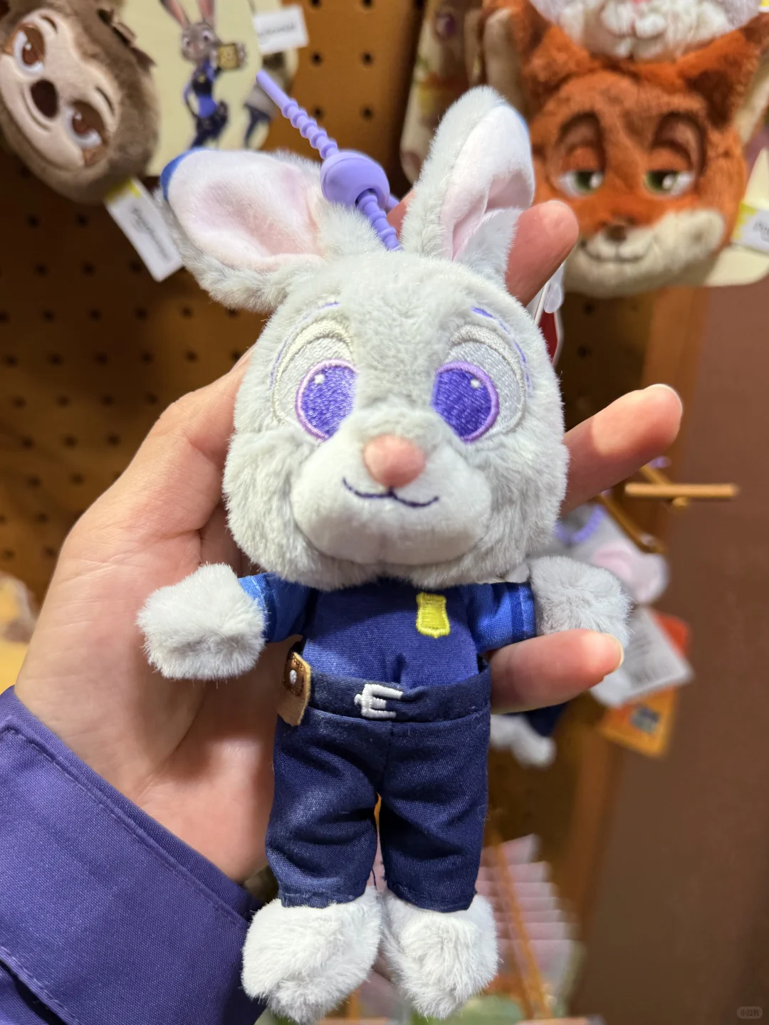 深圳已成为疯狂动物城痛城！