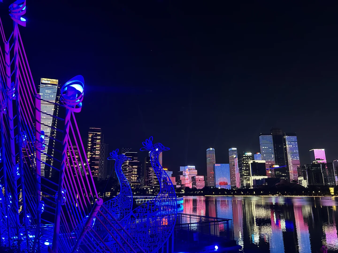 深圳人才公园灯光秀