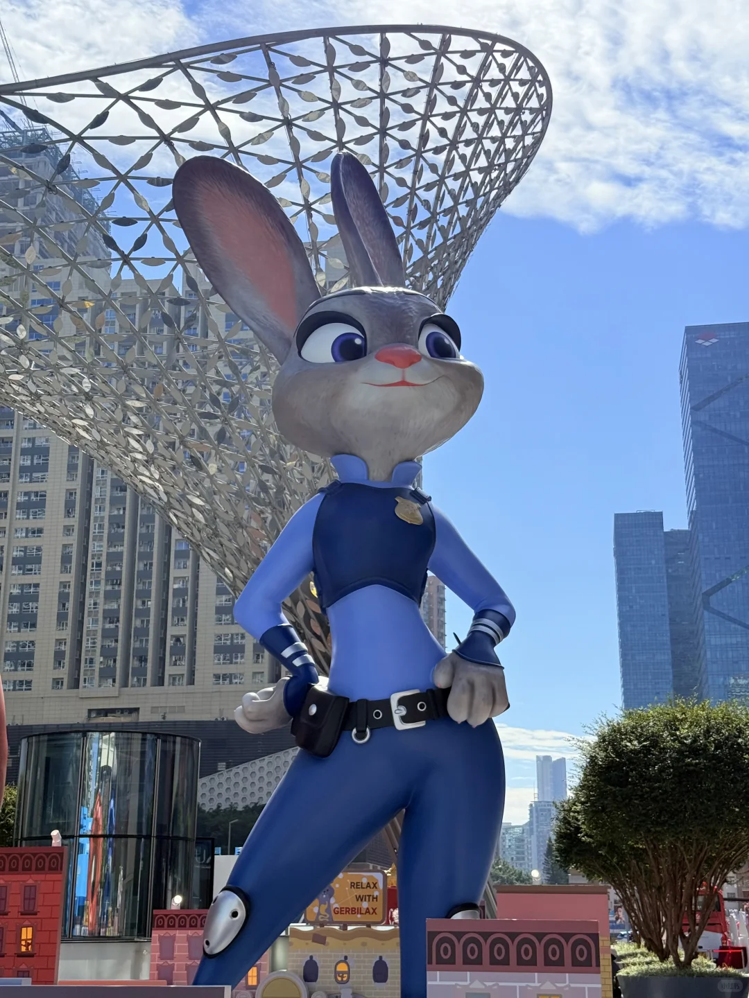 深圳已成为疯狂动物城痛城！