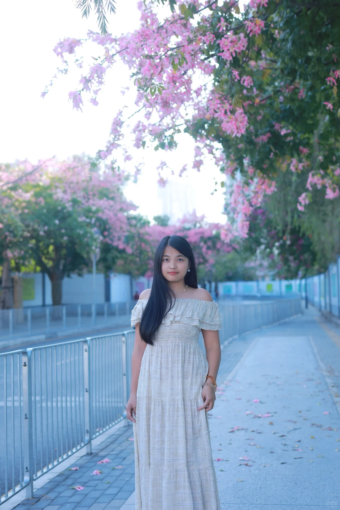 深圳0人挤！异木棉小众拍照地📸