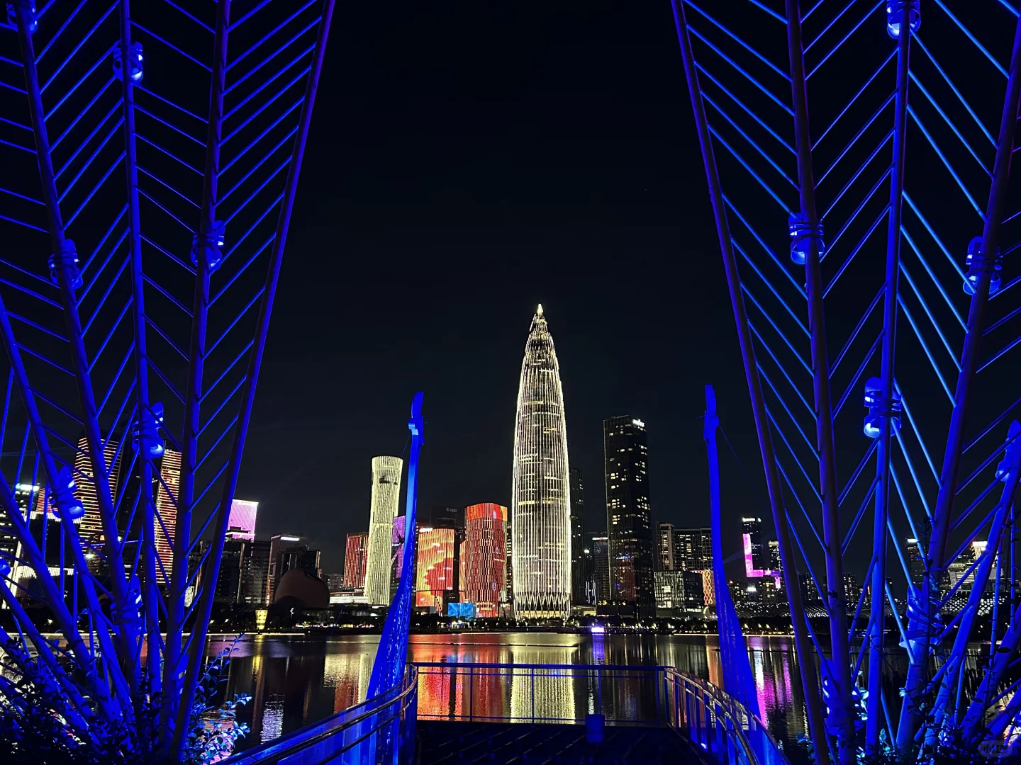 深圳人才公园灯光秀