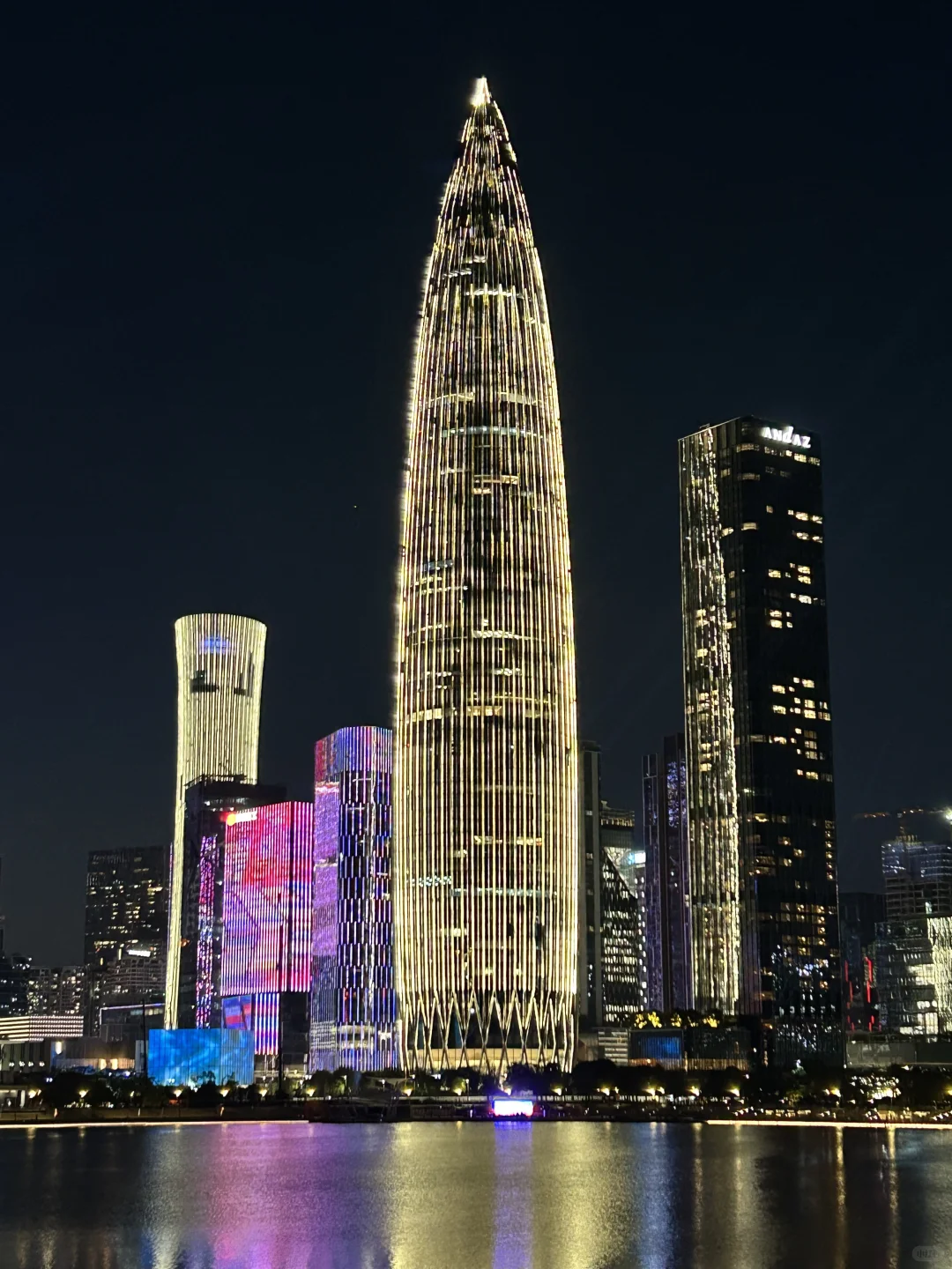 深圳人才公园灯光秀