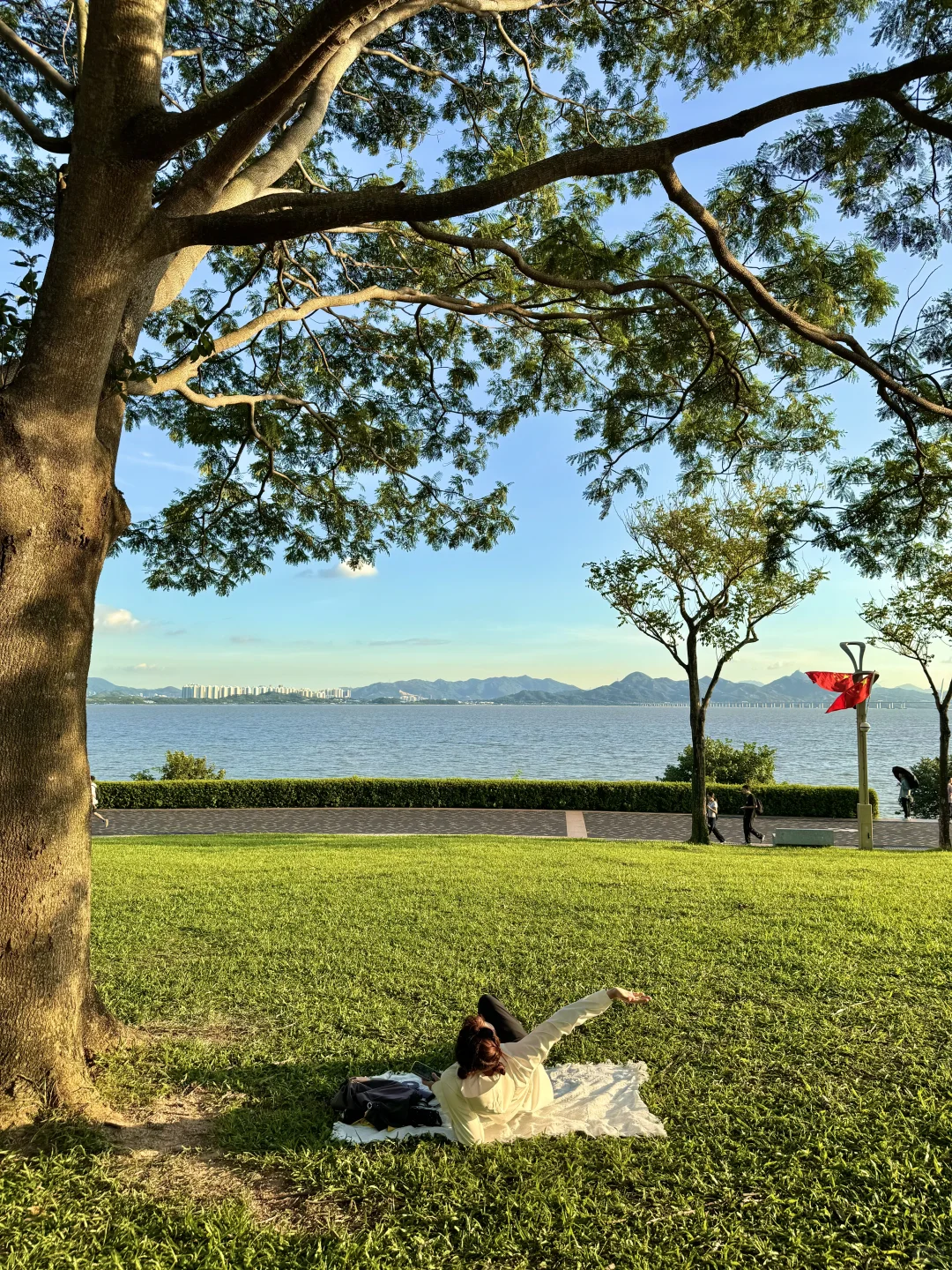 深圳蕞好的都是免费的~🌳