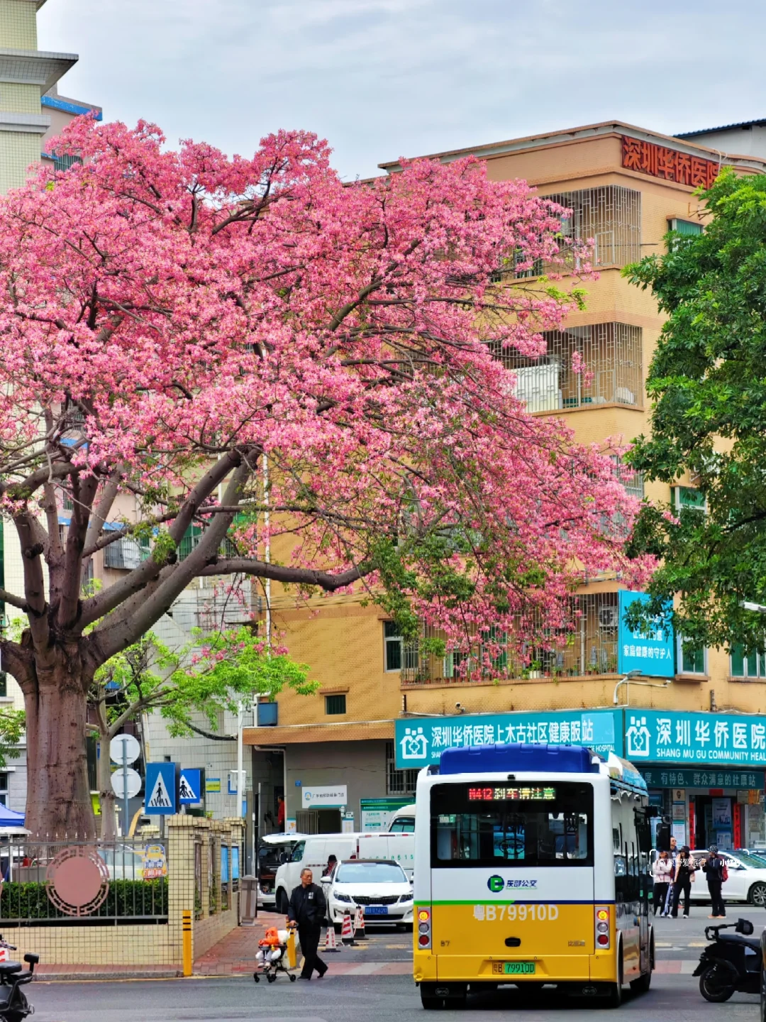 这几天的深圳是这样的❗