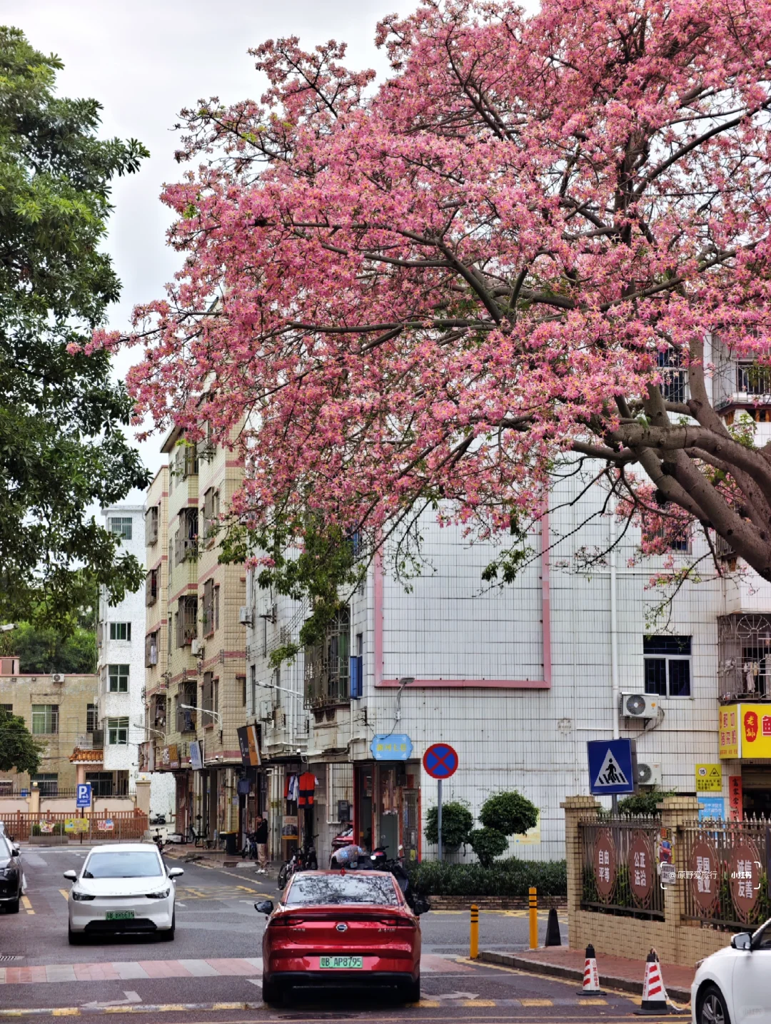 这几天的深圳是这样的❗