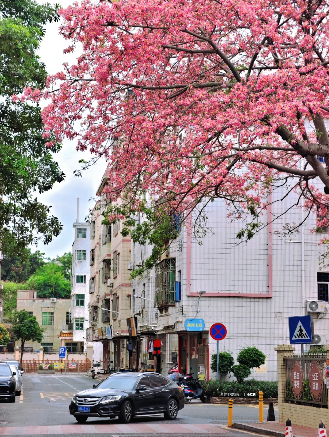 这几天的深圳是这样的❗