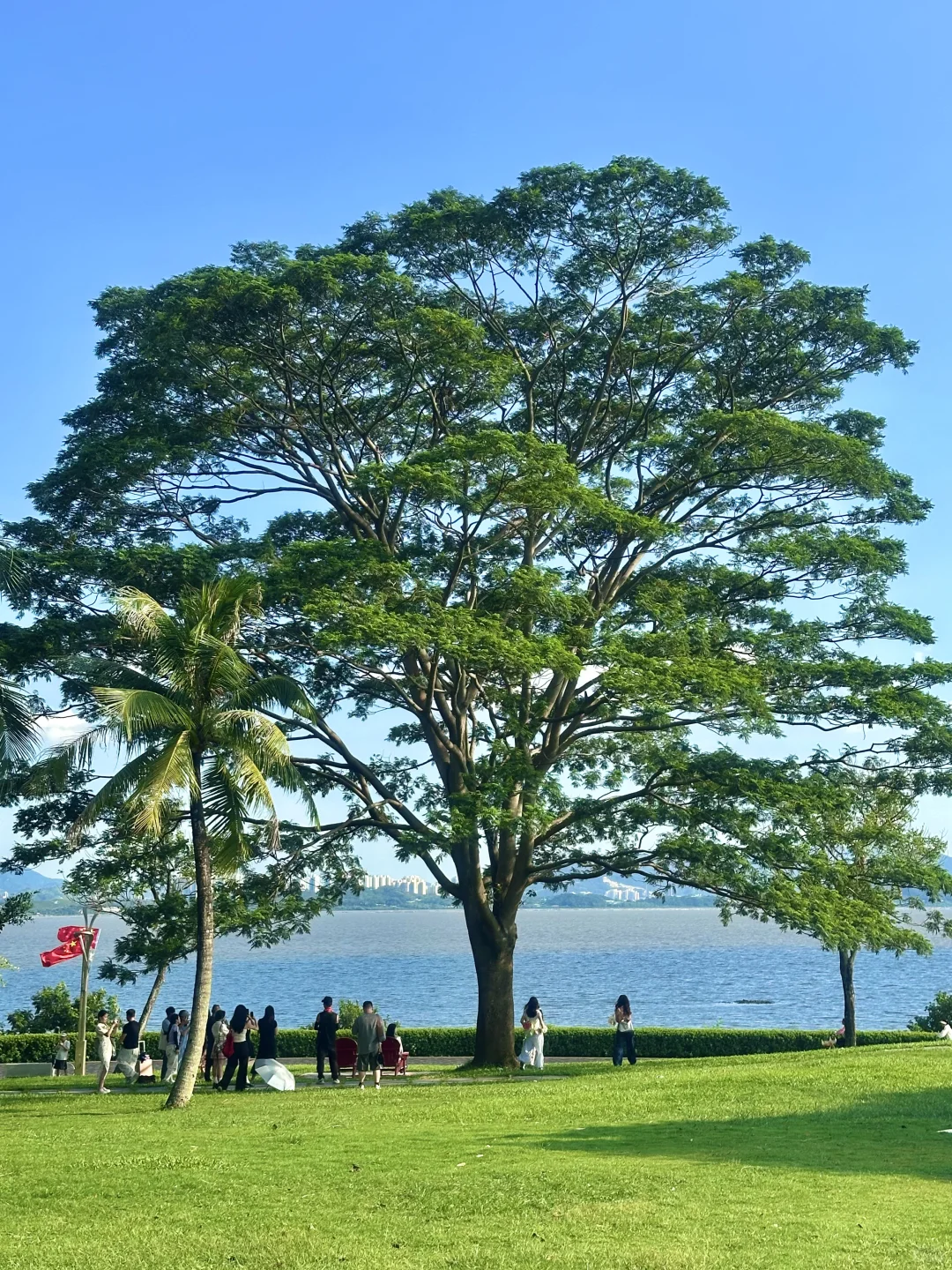 深圳蕞好的都是免费的~🌳