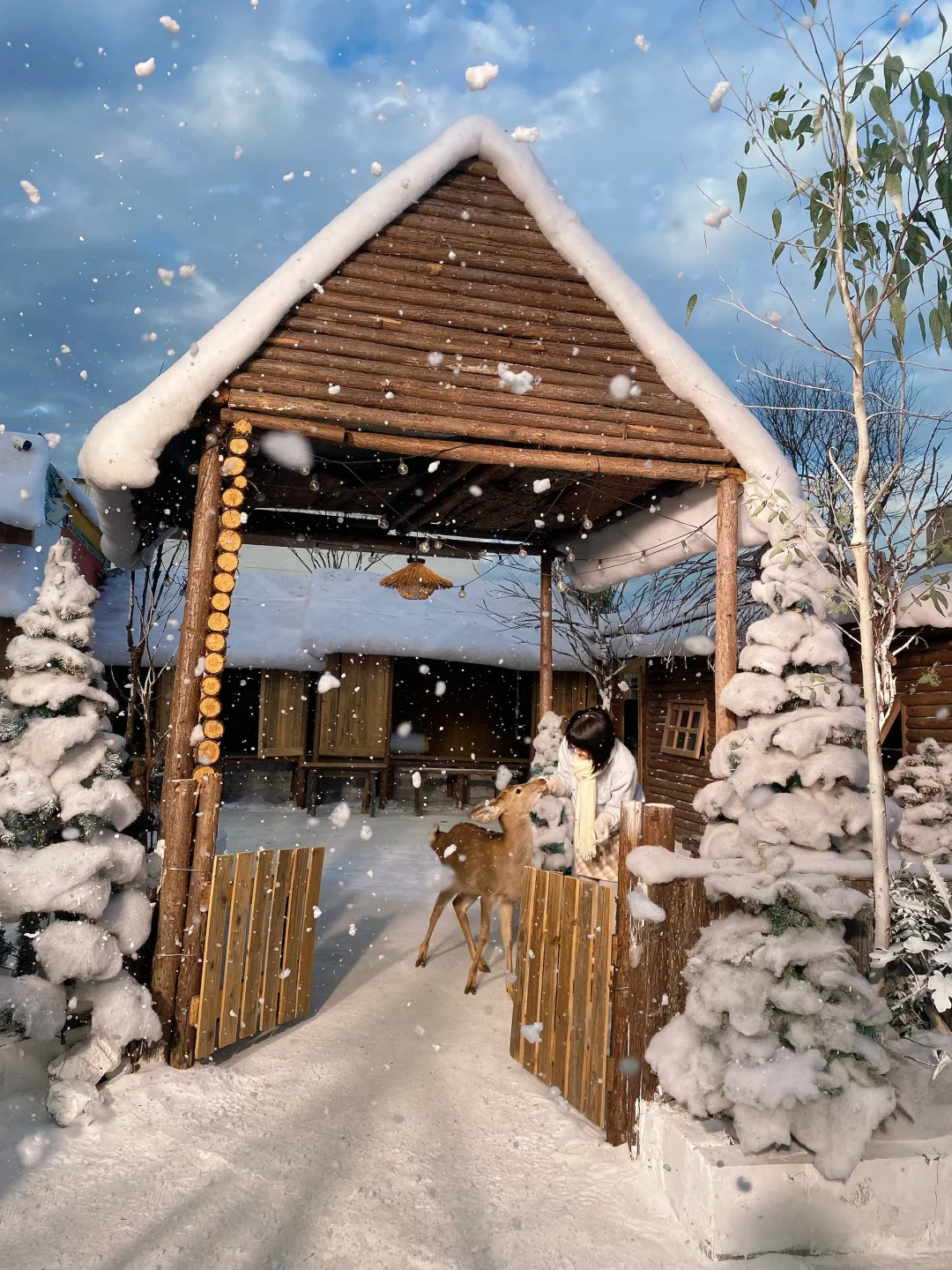 深圳下雪了❄️真像童话里的冰雪世界‼️