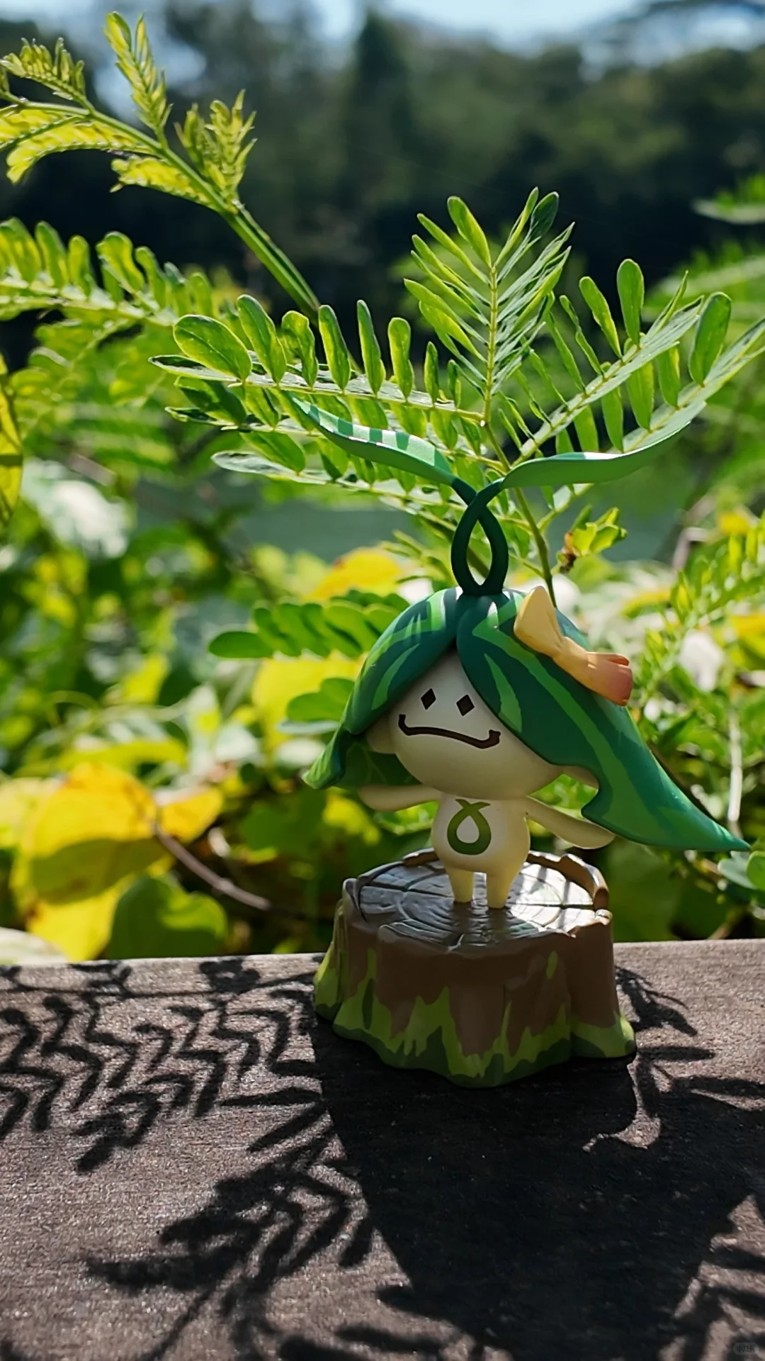 深圳湾的天气好到