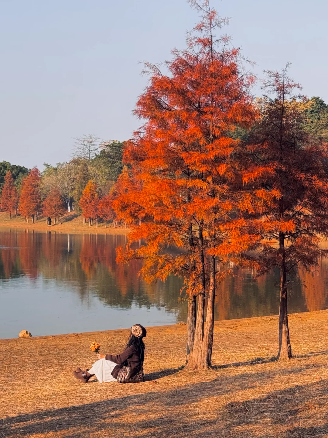 不是大理！现在的东莞美得像油画📱1.6实拍