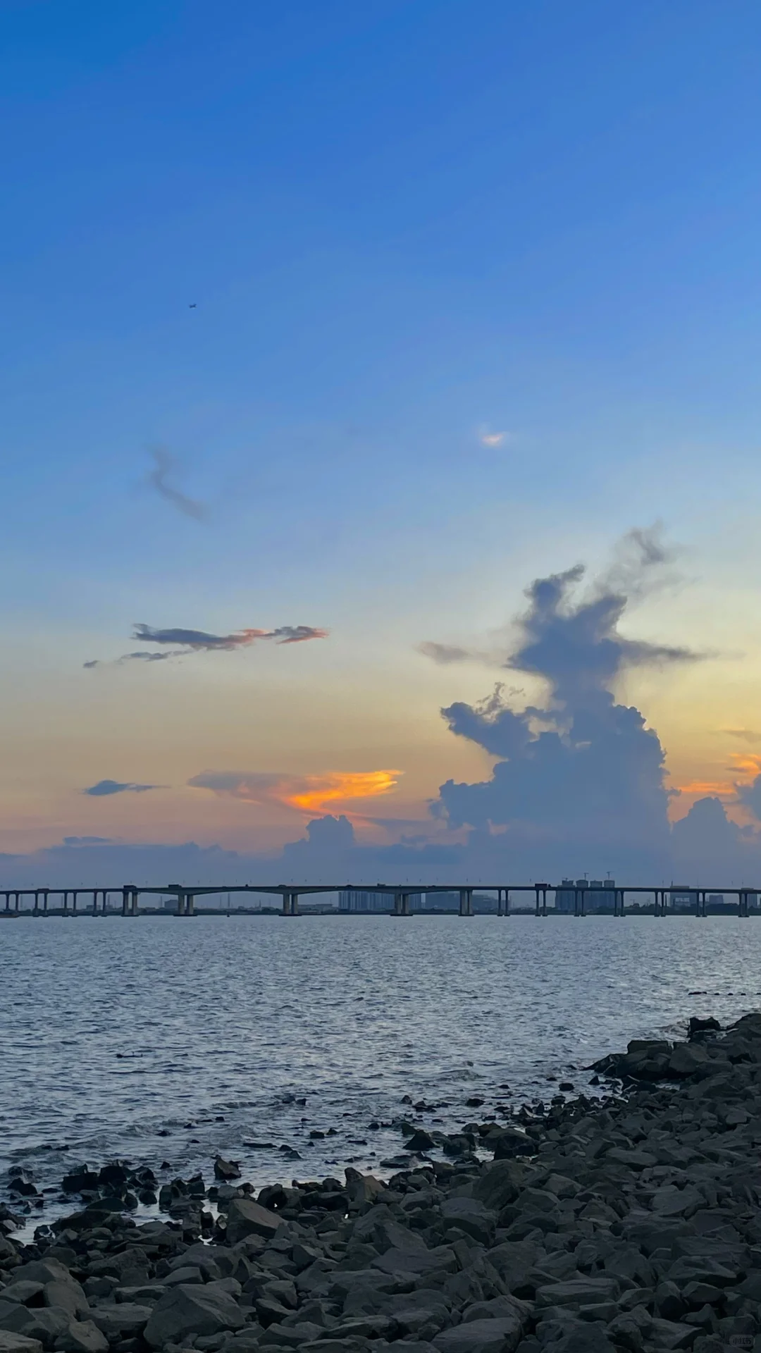 广州南沙看海🌊