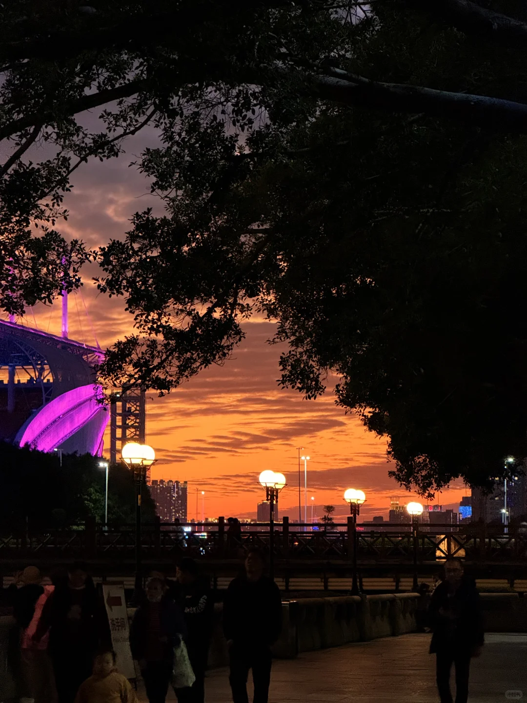 11.21 广州日落实况