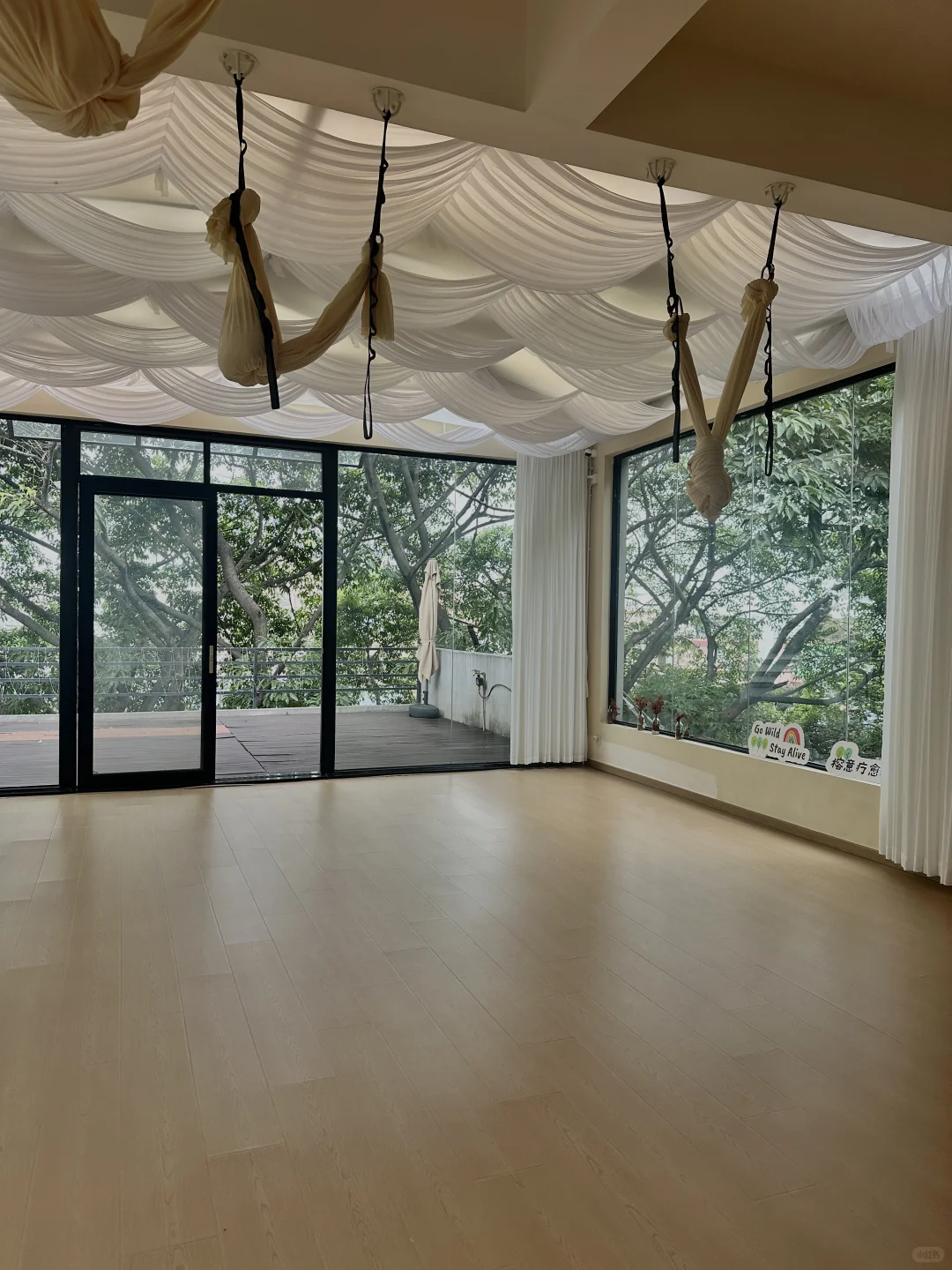 淡人 独处 东莞树景玻璃屋发呆1h恢复能量